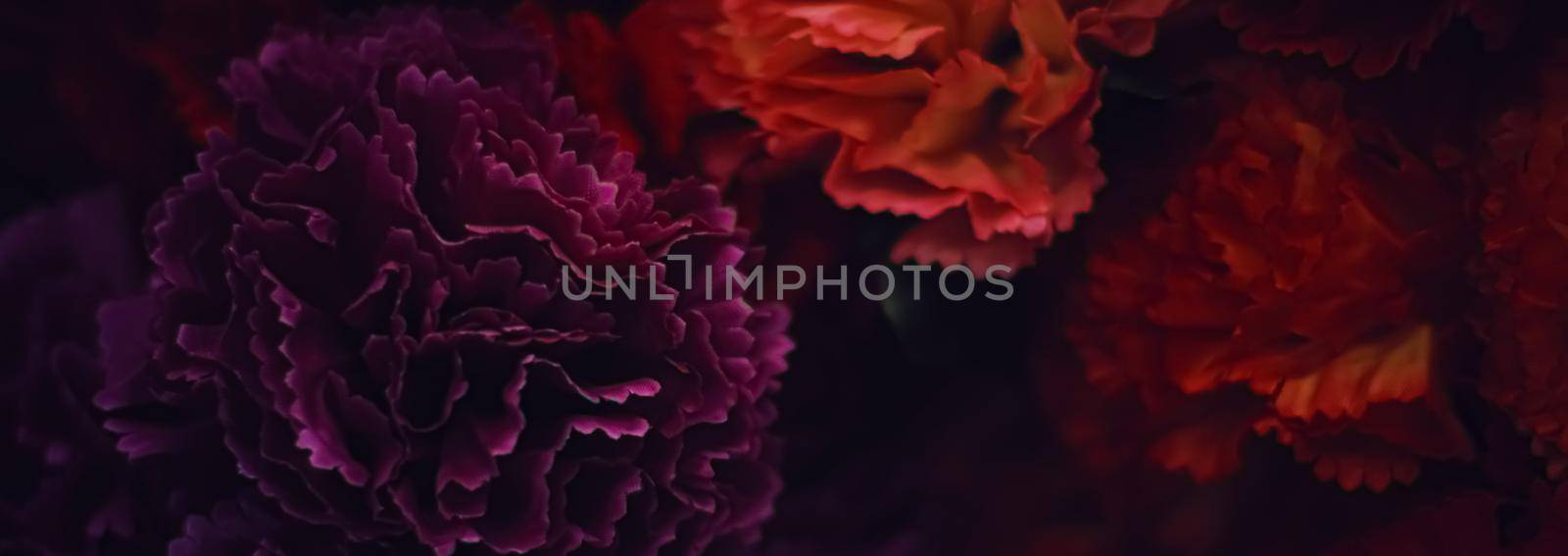 Dark red flowers as floral decoration for wedding and flower shop decor concept