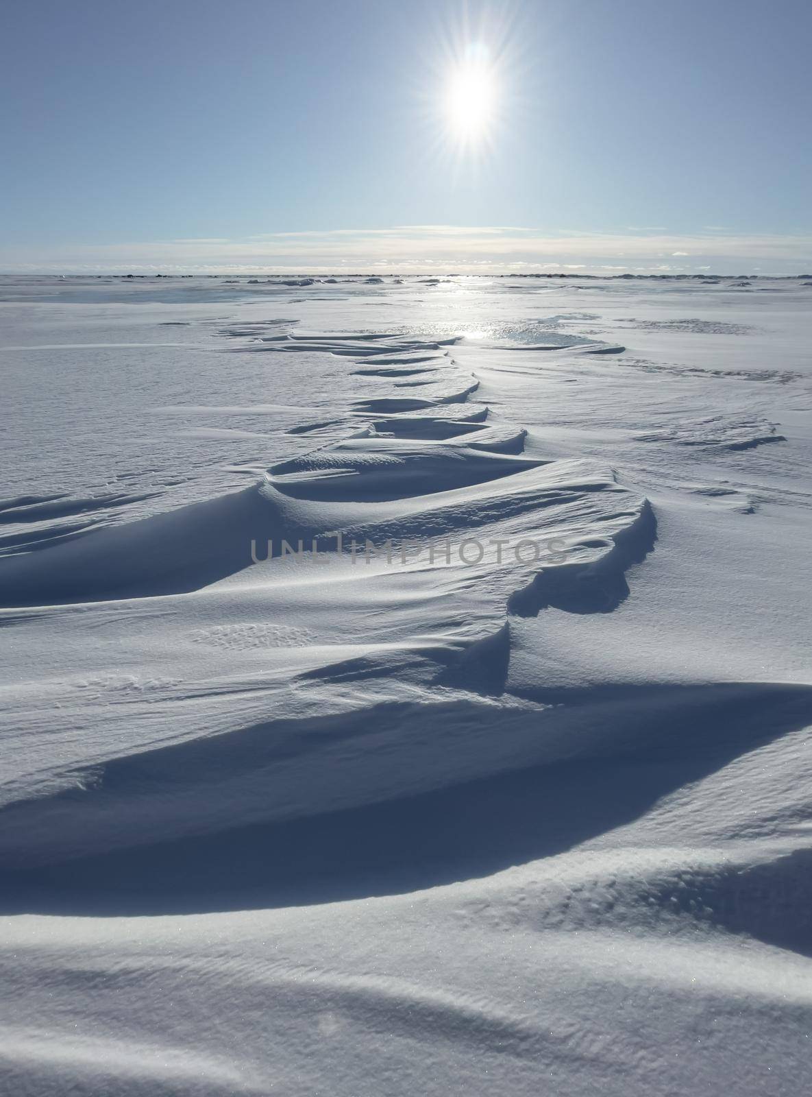 Ice slopes in sunny winter day, transparent ice of blue color, purely blue sky, long shadows, a pure snow-covered virgin soil, snow barkhans, . High quality photo