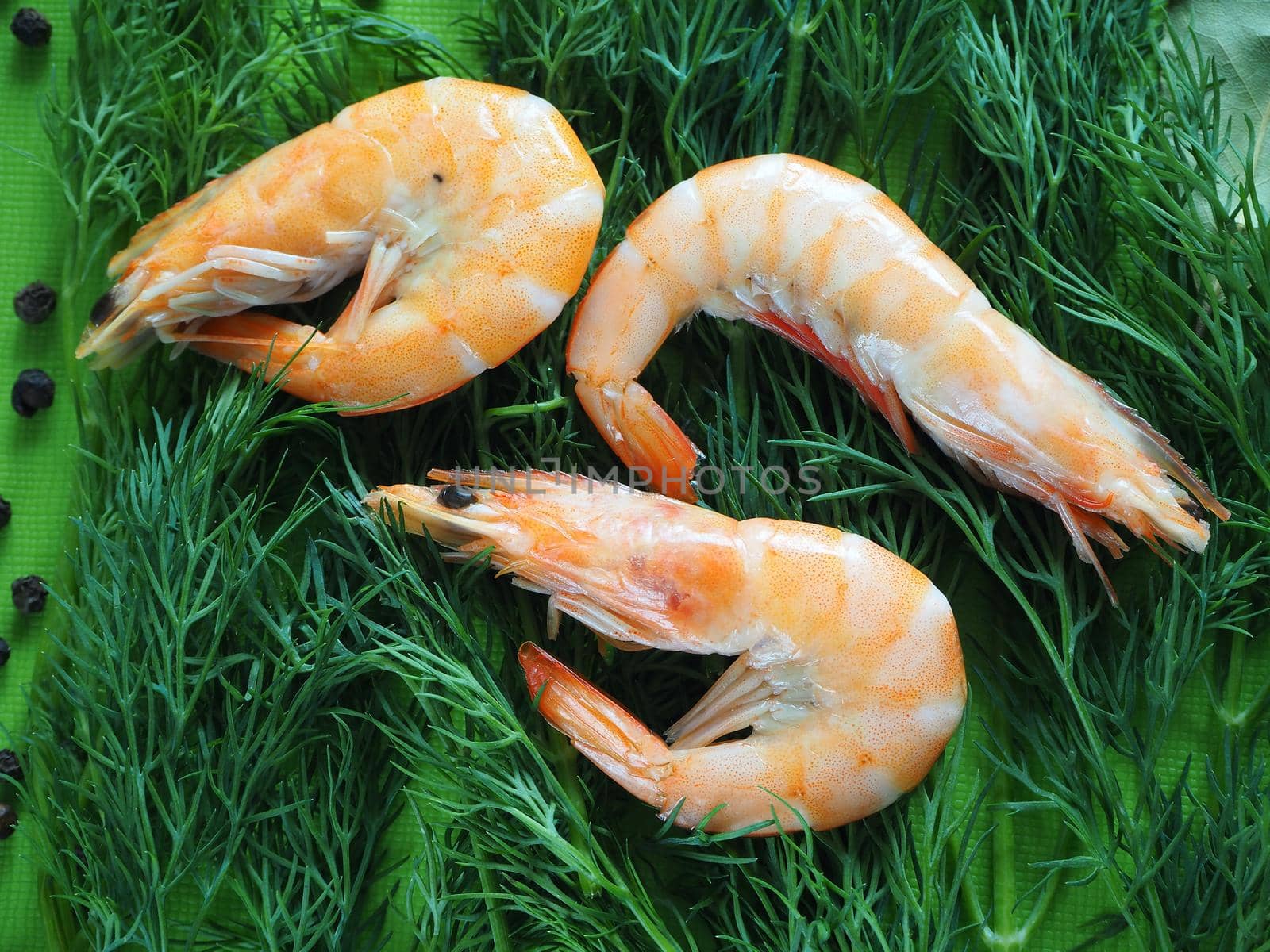 Large prawns with spices and spaghetti. Prawns with dill and pepper close-up. Bright background.