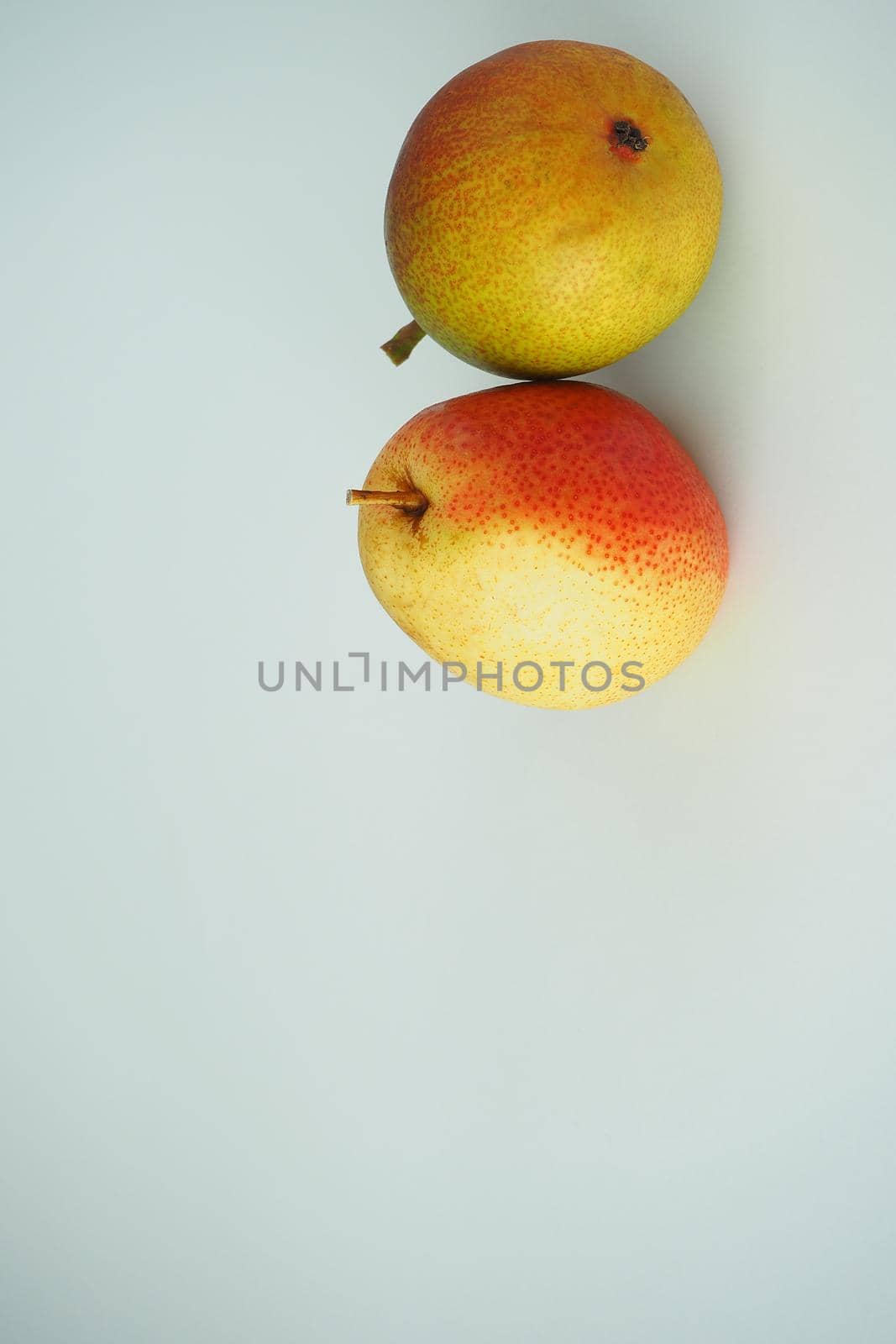 Two ripe pears on a white background. Vertical image. Close-up.