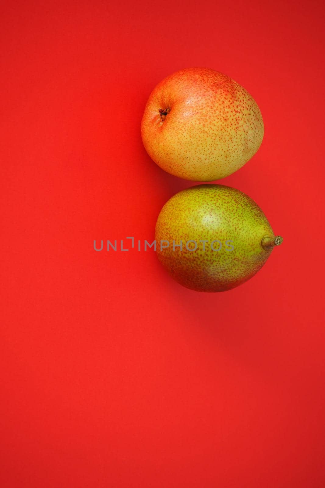 Ripe fruit. Two pears on a red background. Vertical image.