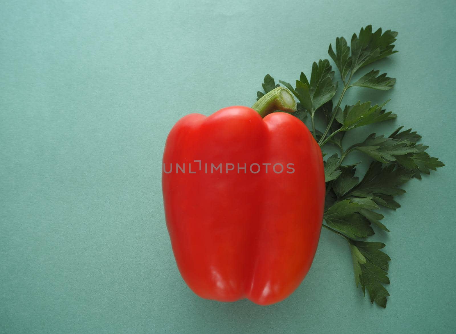 Ripe vegetables for salad. Bulgarian pepper. High-quality image