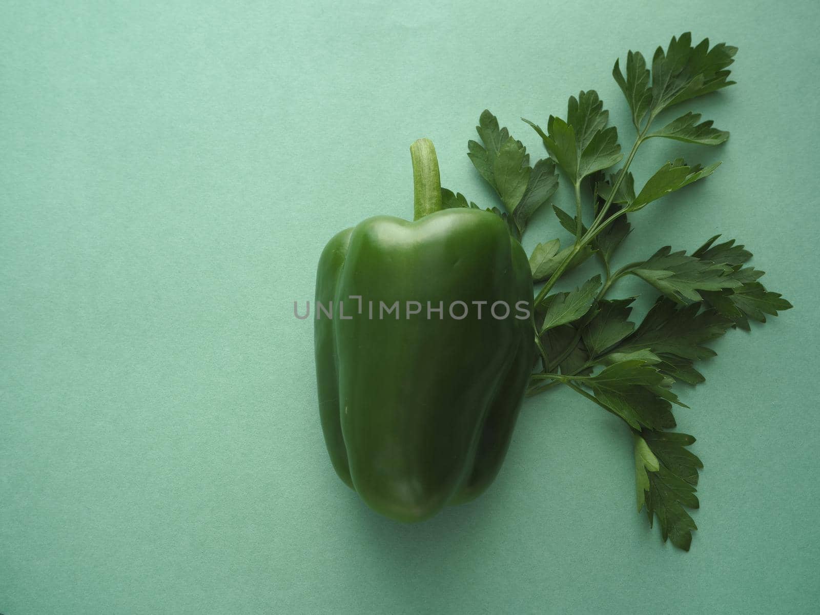 Ripe vegetables for salad. Bulgarian pepper. High-quality image