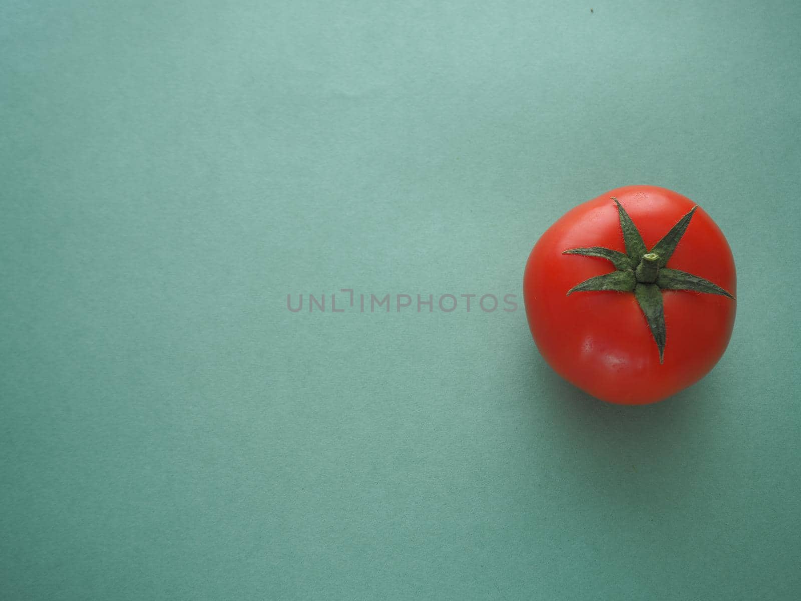 One red tomato close-up on a blue background. A quality image.