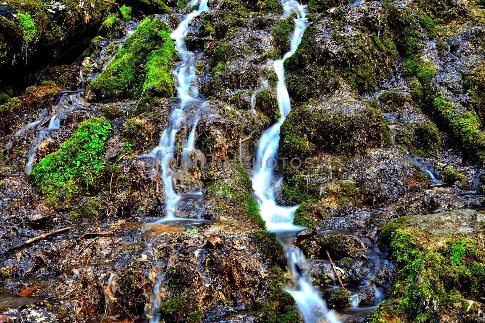 waterfall in the nature reserve area Bad Ueberkingen in Germany by Jochen