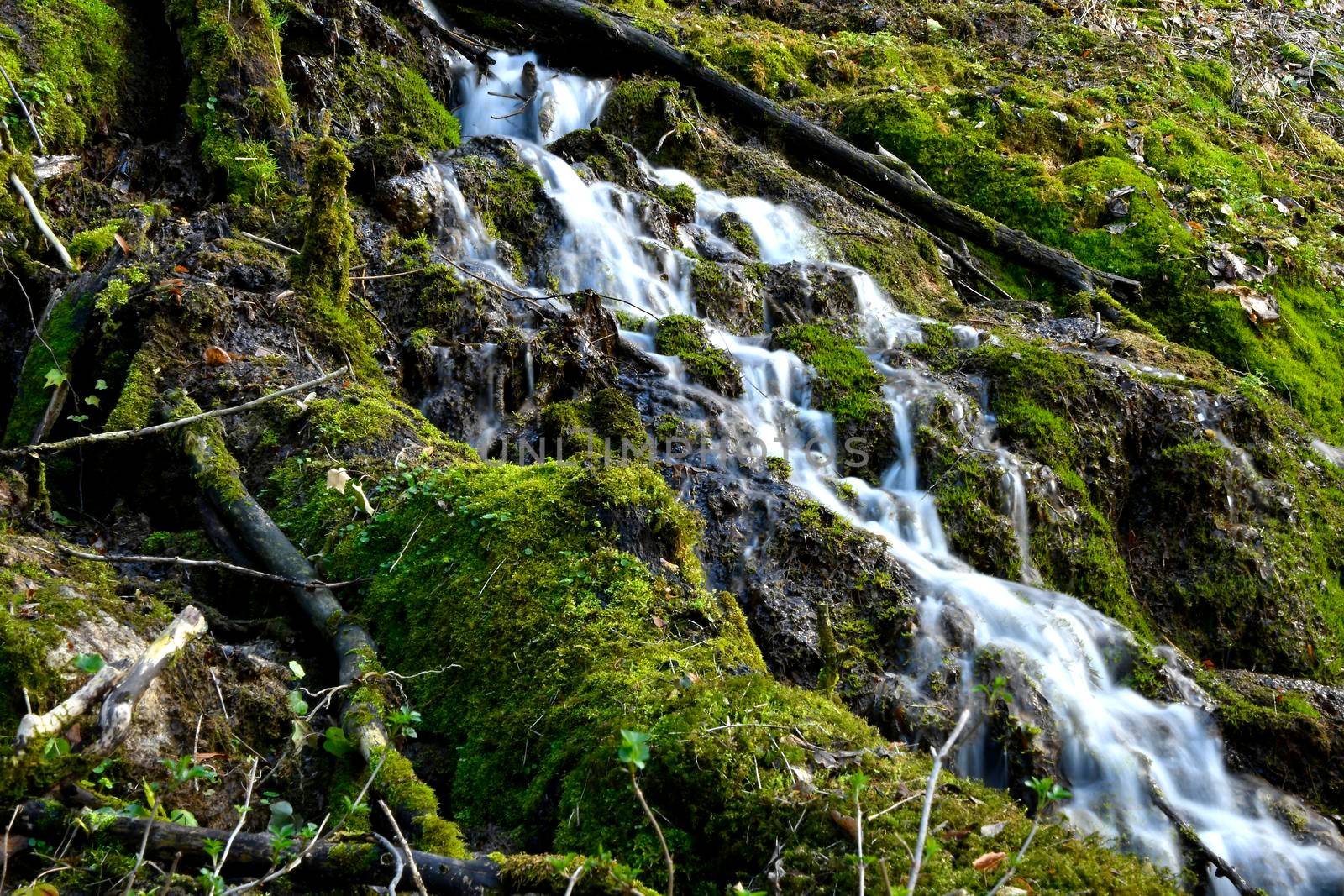 waterfall in the nature reserve area Bad Ueberkingen in Germany by Jochen