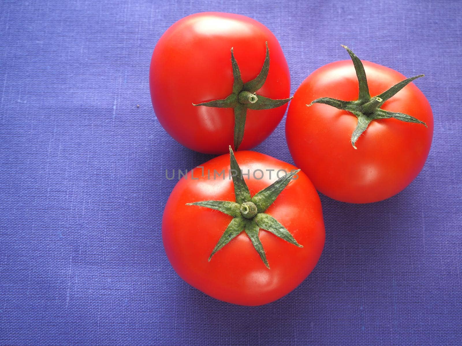 Food. Vegetables. Three tomatoes are red, close-up, on a blue background.