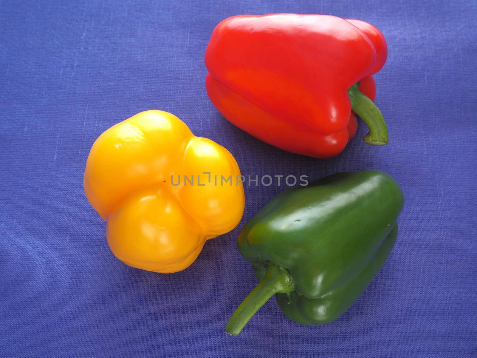 Bulgarian pepper sweet yellow, red green, close-up. Blue background.