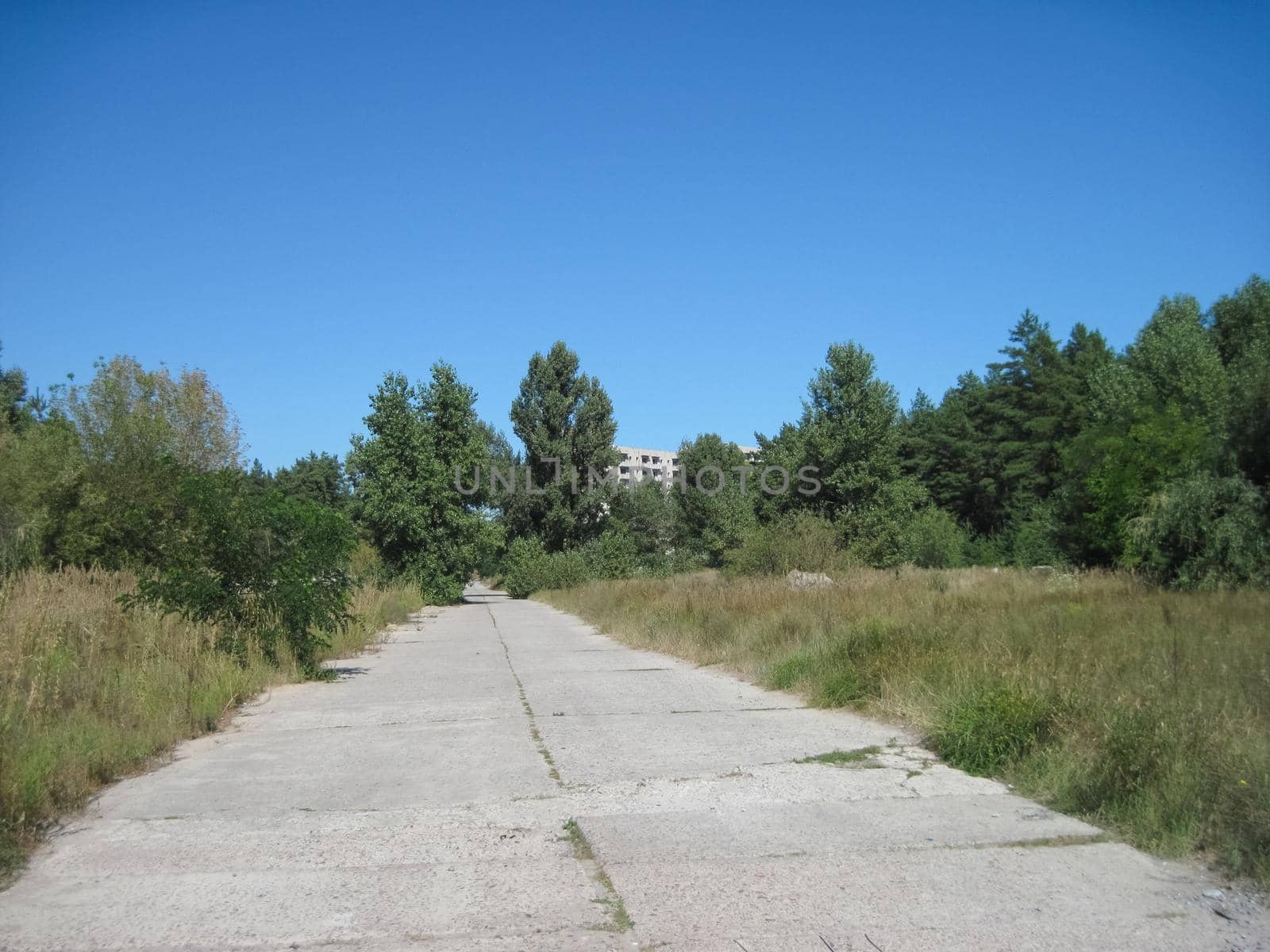 The old road is made of concrete slabs. road surface slabs of concrete.