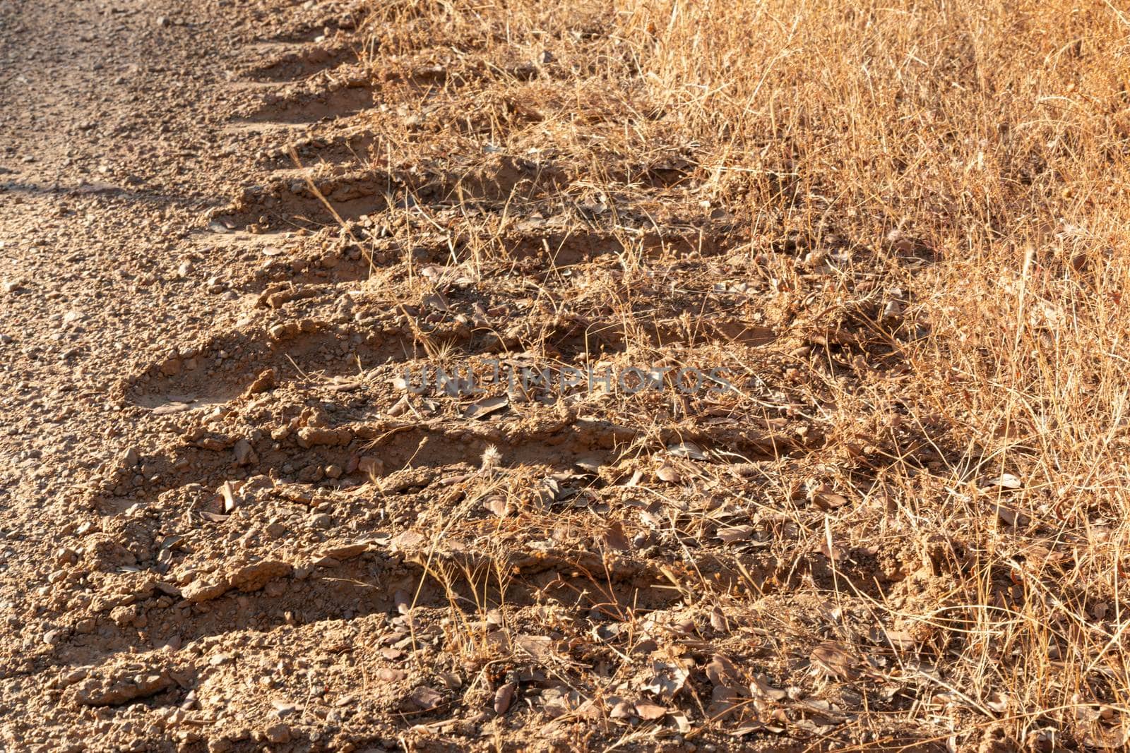 Tractor tracks on a rural road by loopneo