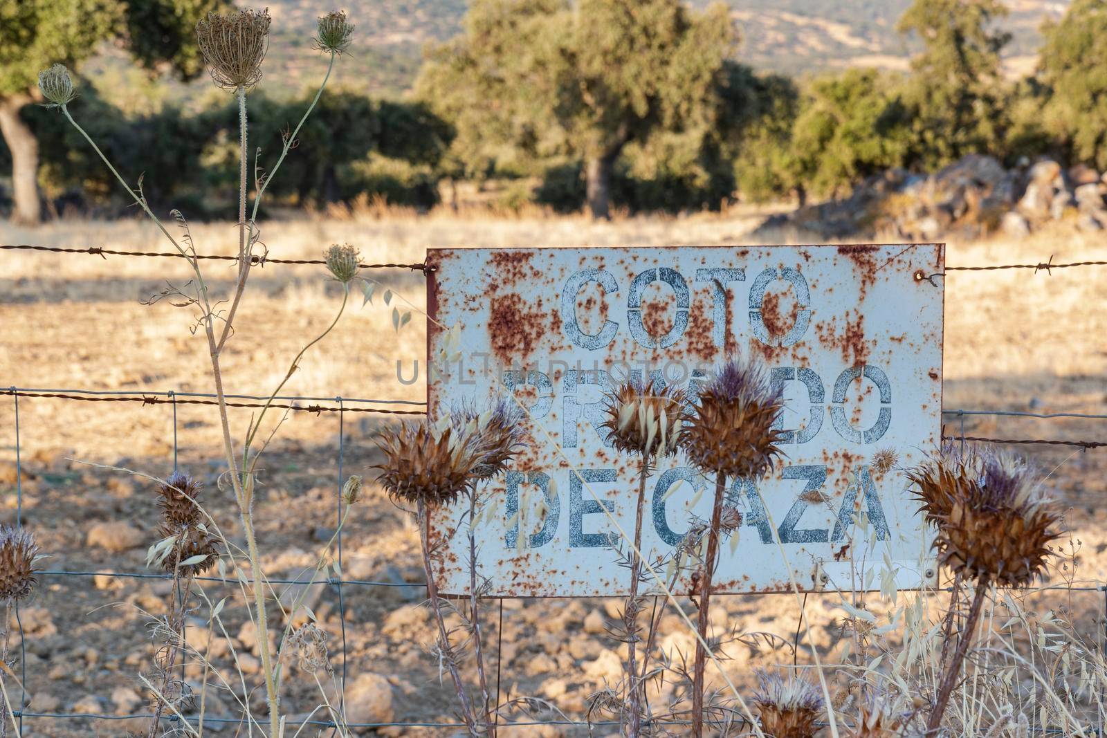 Hunting ground sign at sunset in southern Andalusia, Spain