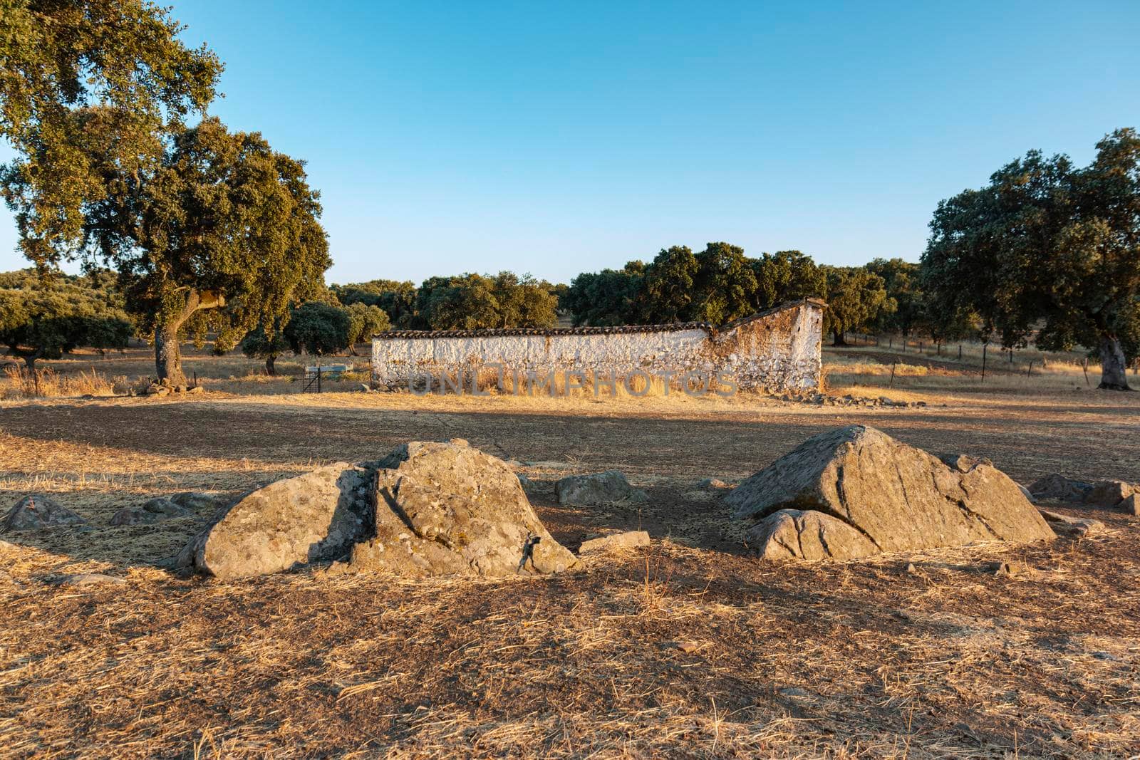 large stones on a farm at sunset by loopneo