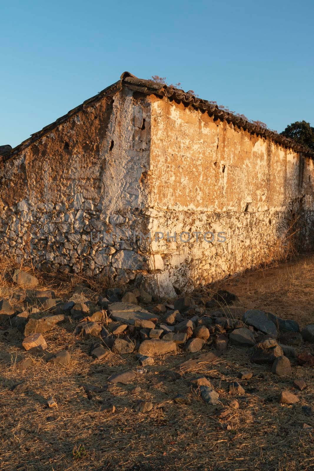 Sheep farm at sunset in southern Andalusia, Spain