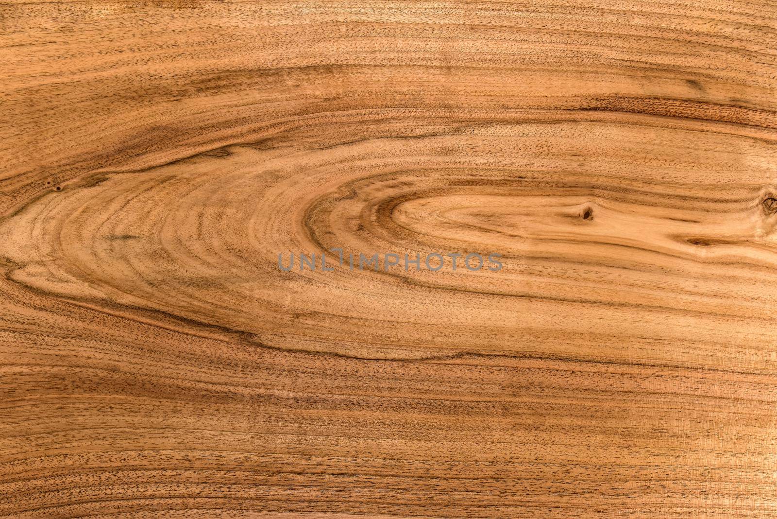 background and texture of Walnut wood decorative furniture surface by Nickstock