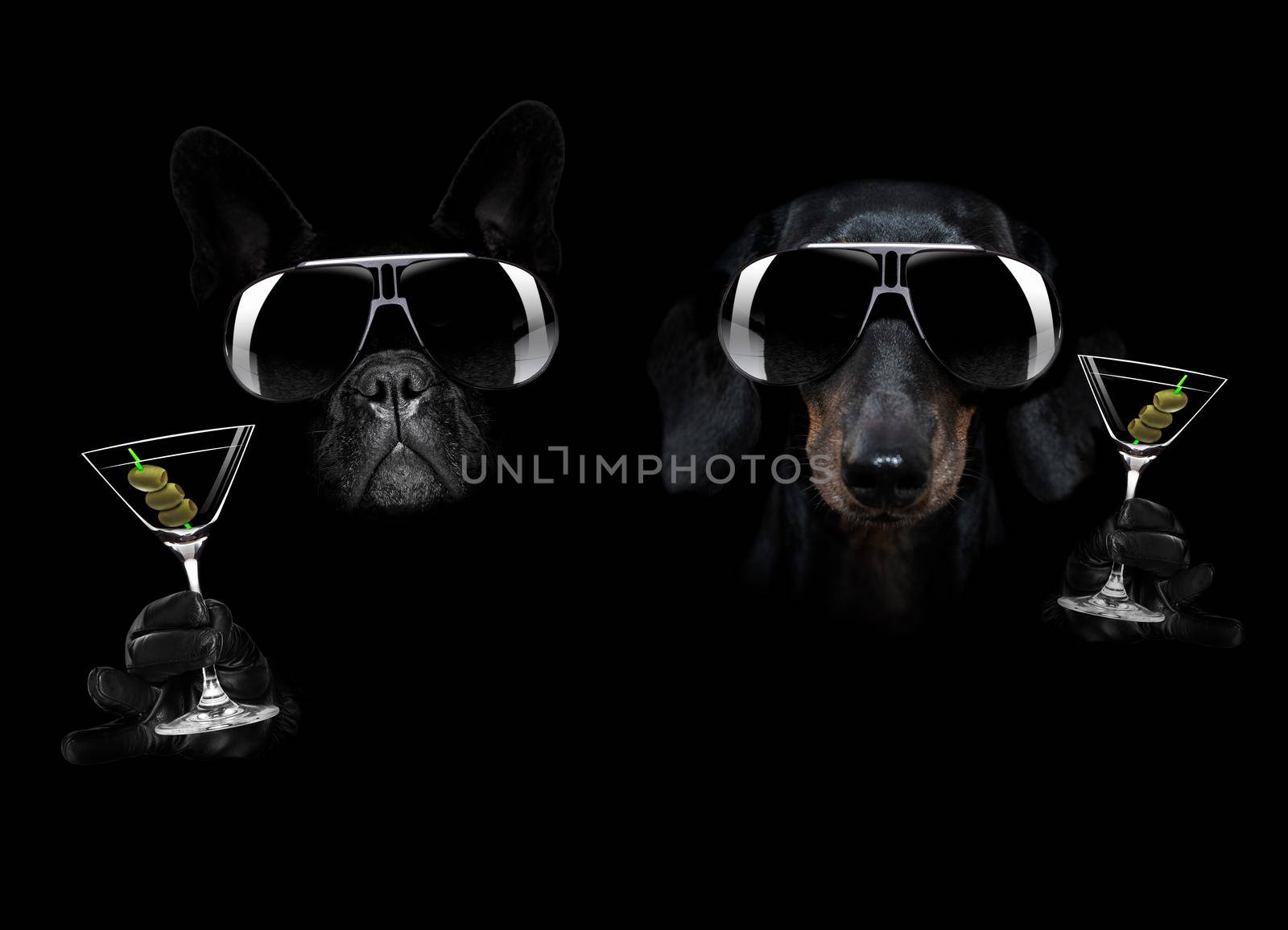 martini cocktail dog in dark black mood by Brosch