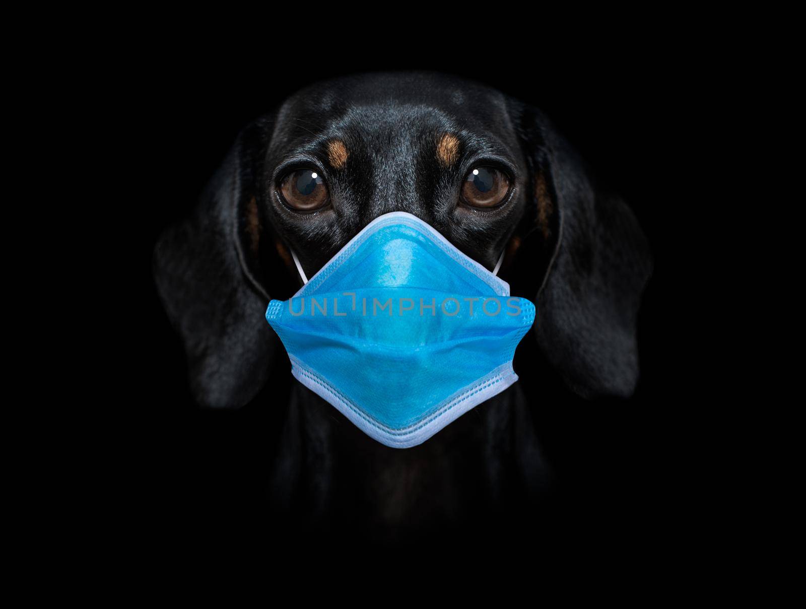 ill sick dog with illness and face mask , virus all over by Brosch