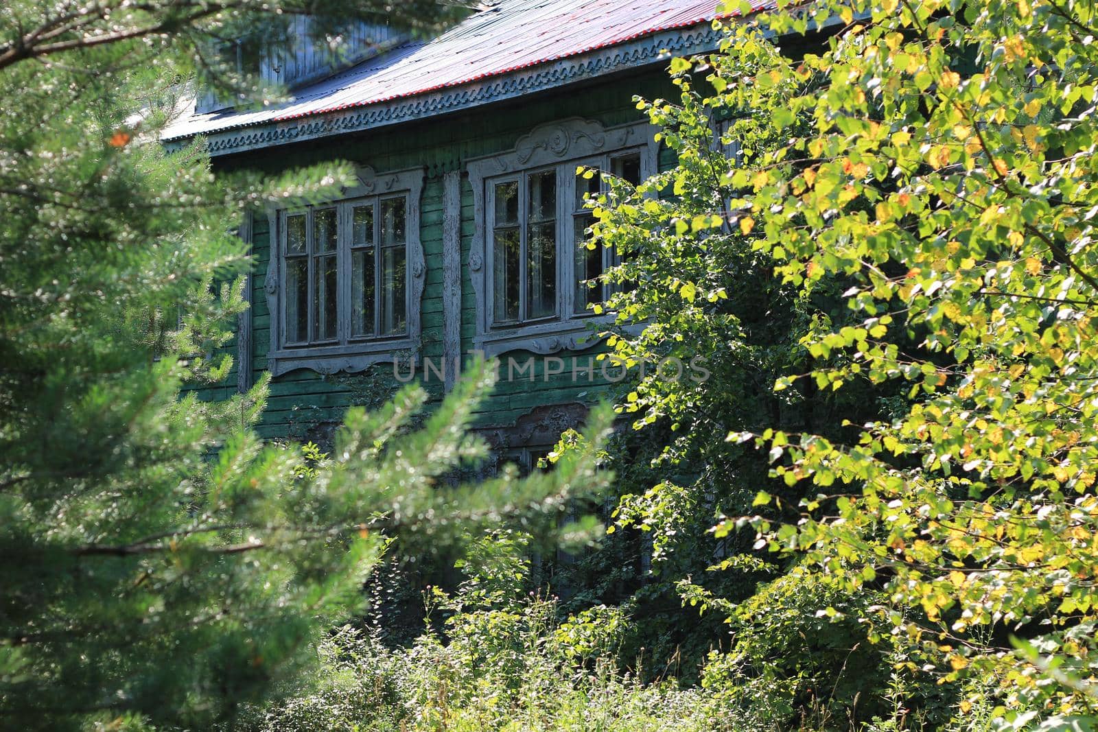 Abandoned wooden house in the woods. by Olga26