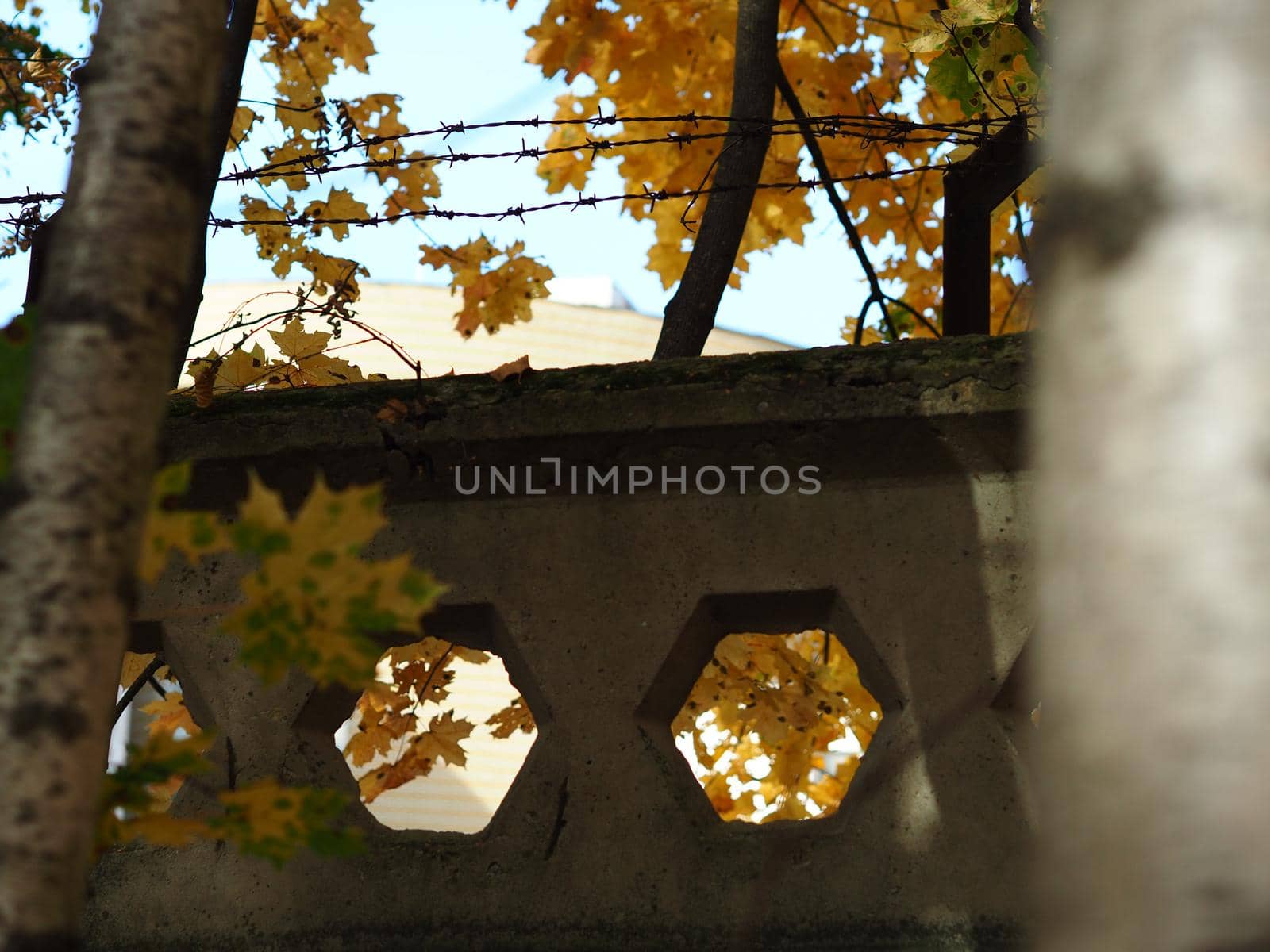 Concrete fence with barbed wire on top of the fence. by Olga26