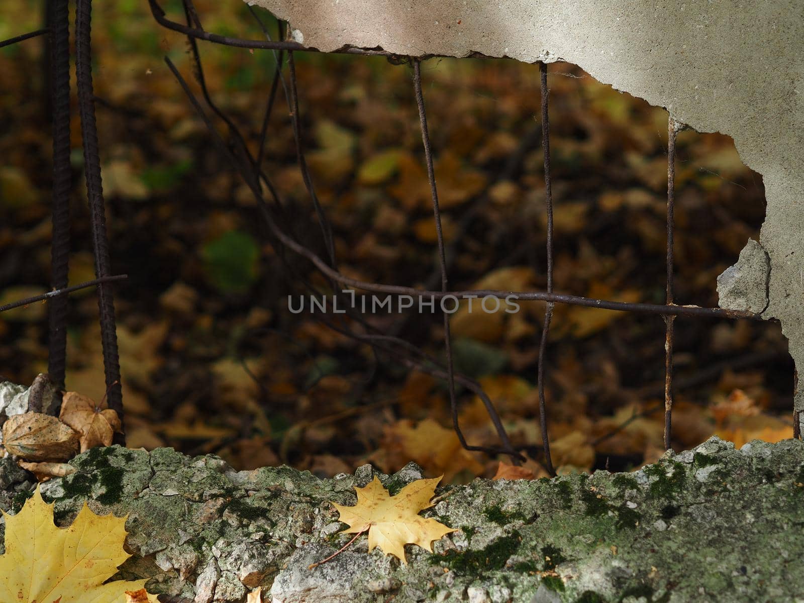 A broken concrete fence. A hole from a shell in a concrete fence. by Olga26