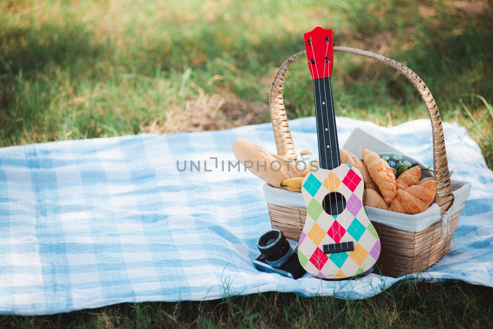 Picnic wattled basket with bread food and fruit, Ukulele, a retro camera on blue cloth in green grass garden with copy space at sunny summertime