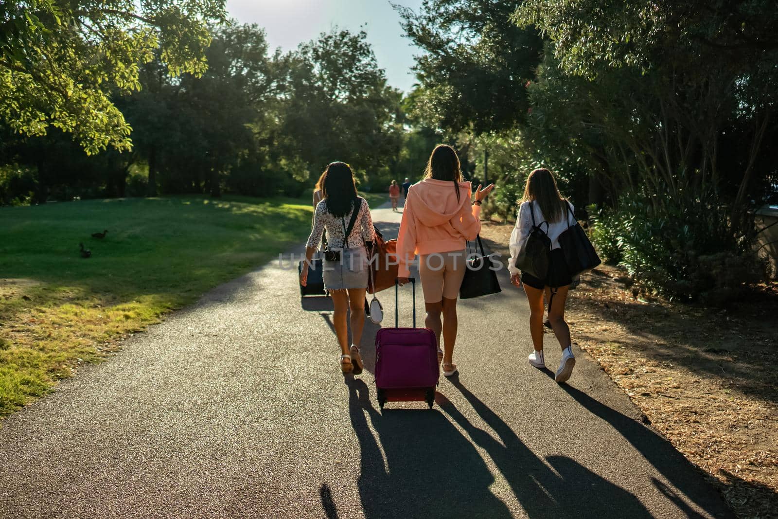 Three young best beautiful friends just arrived in the vacation city park resort view from back walking holding bags and trolleys searching for destination. Happy women traveller from behind in nature