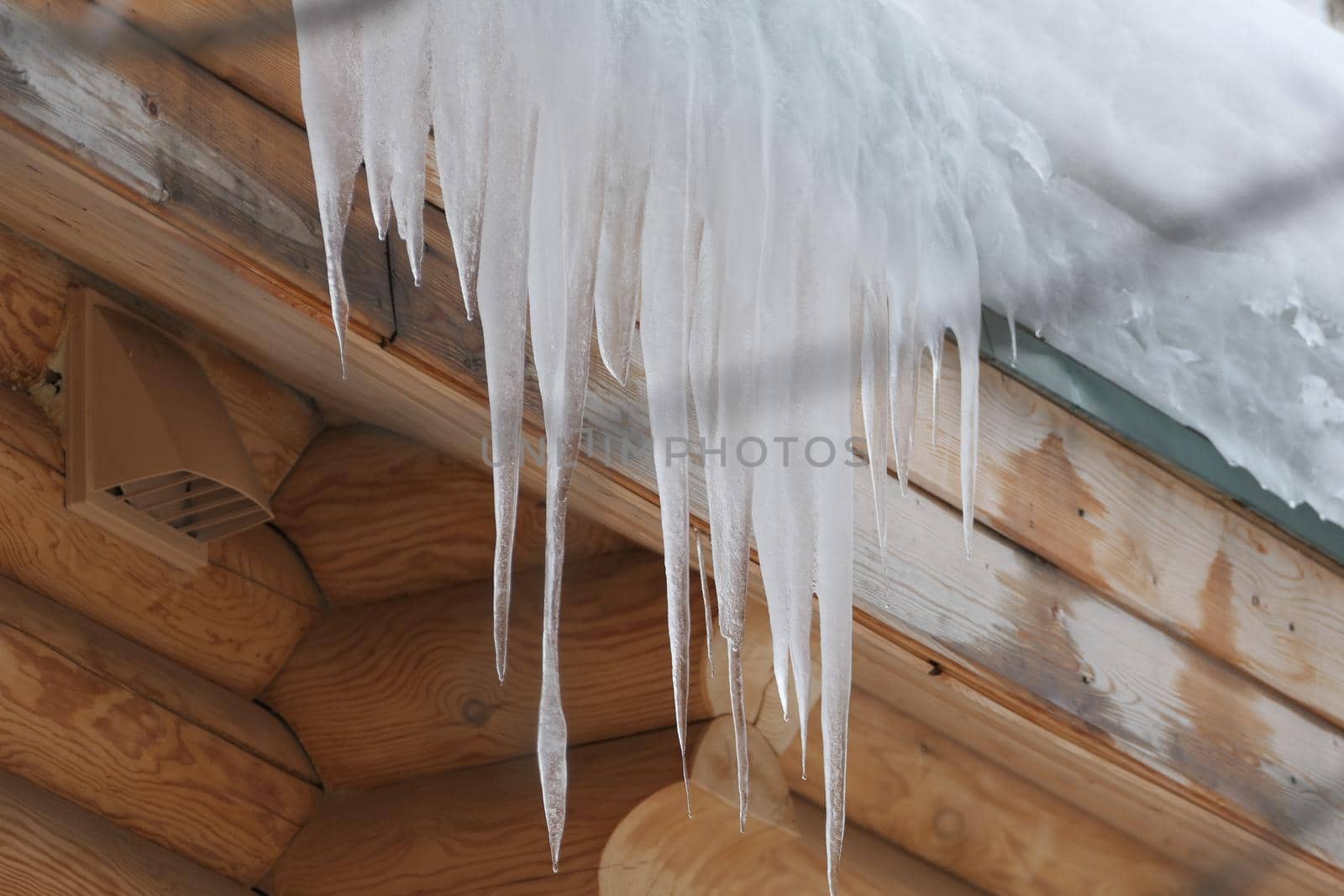 Large icicles hang from the roof of a log house. Winter frost and spring drops by Olga26