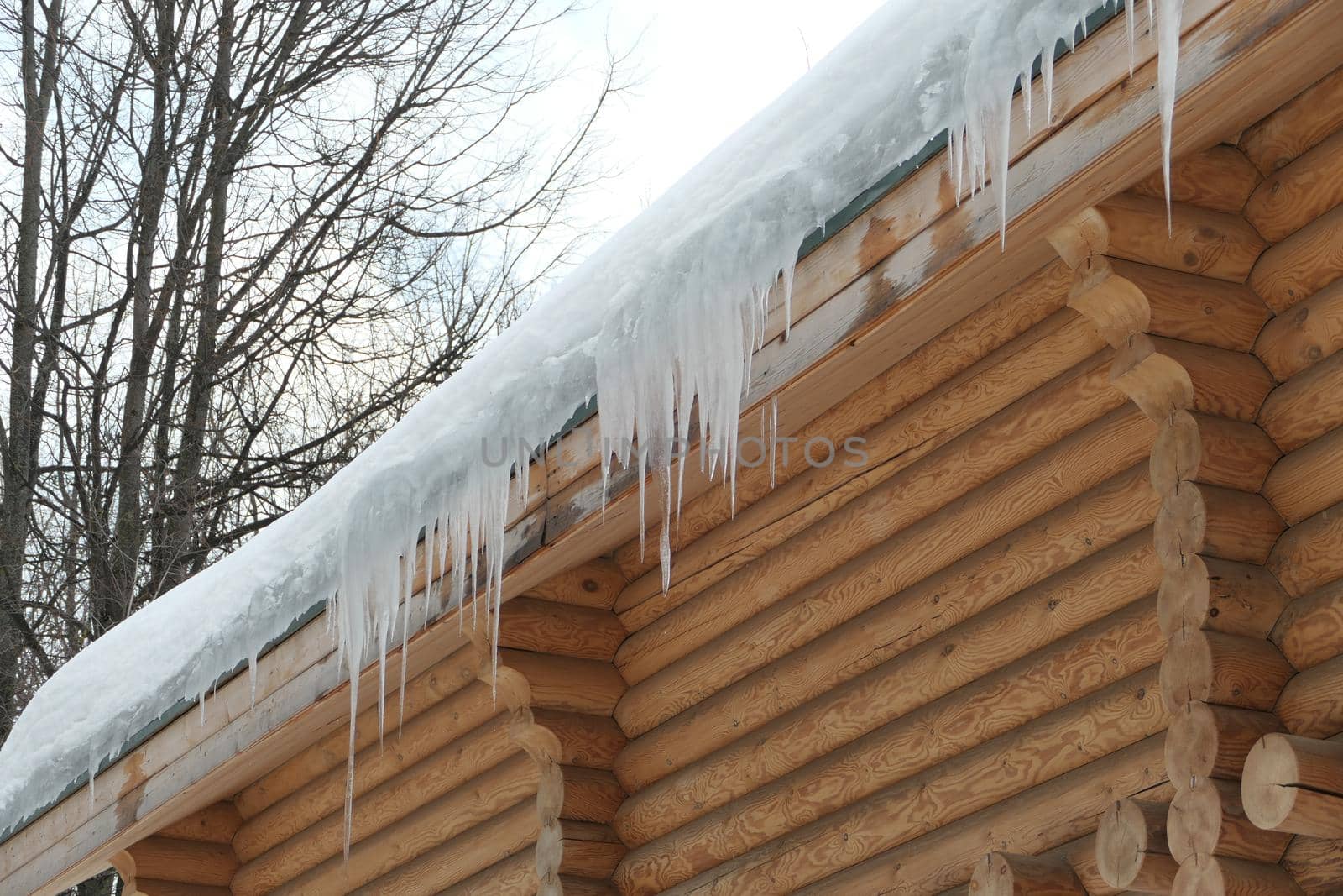 Large icicles hang from the roof of a log house. Winter frost and spring drops by Olga26