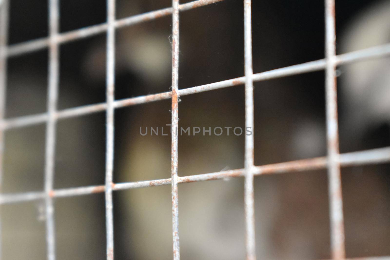 Rusty steel wire mesh fence. Selective focus and blurred background. by tabishere