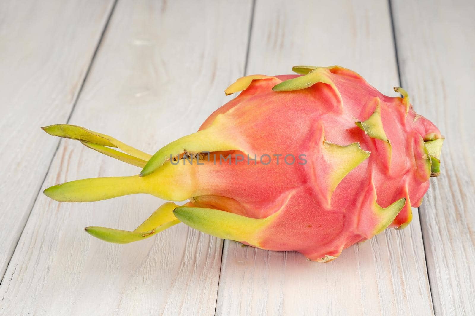 Fresh, pink dragon fruit, pitaya on a white background by Fischeron