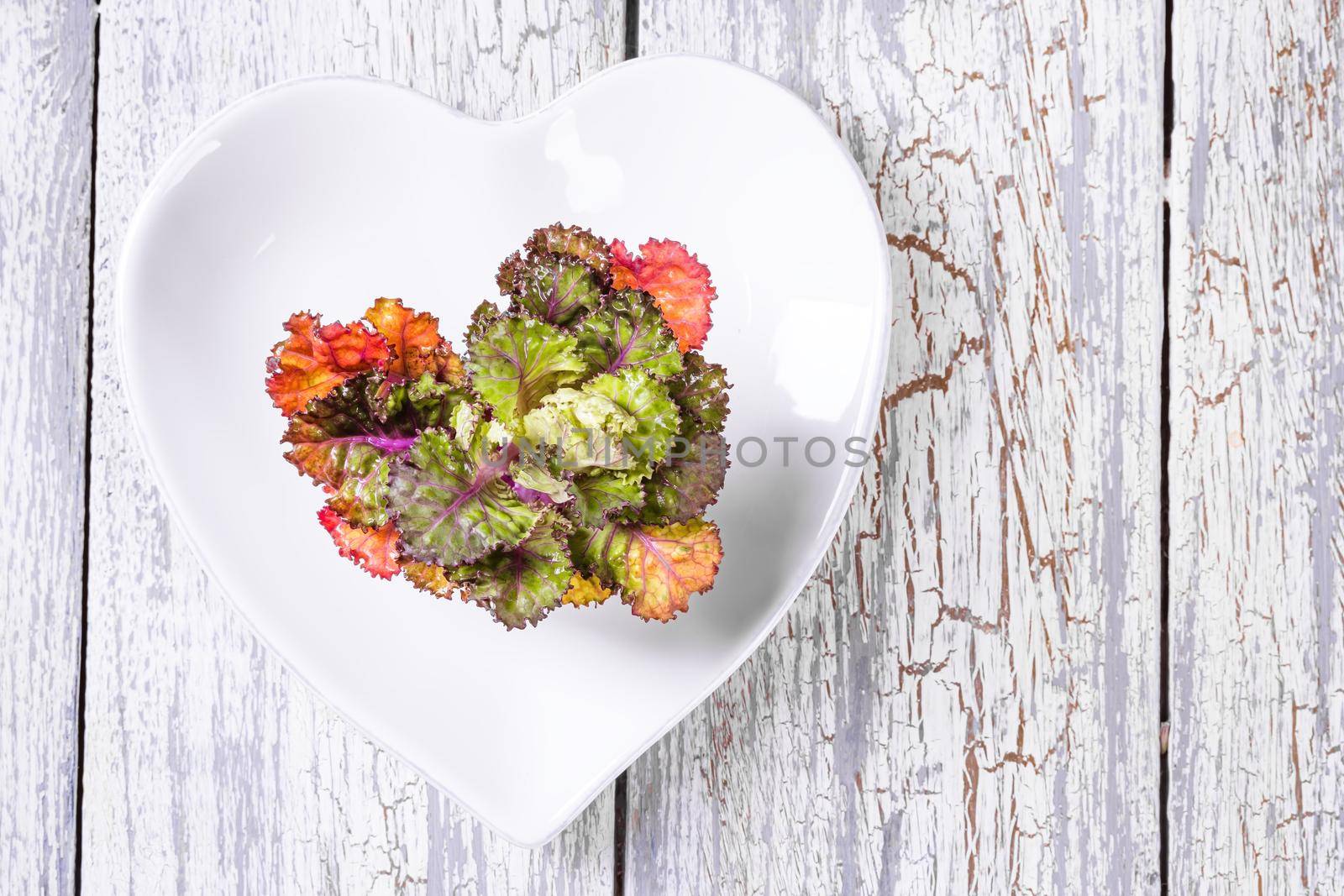 Fresh, healthy, colourfull flower sprouts on wooden background. by Fischeron