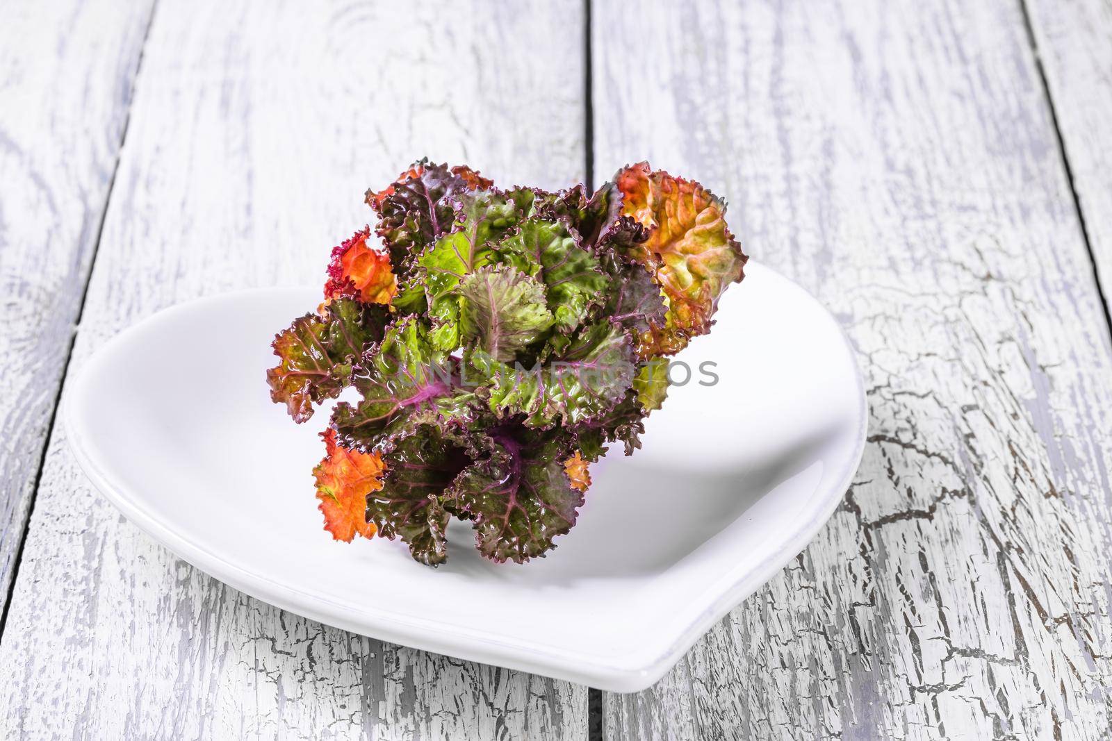 Fresh, healthy, colourfull flower sprouts on wooden background. by Fischeron