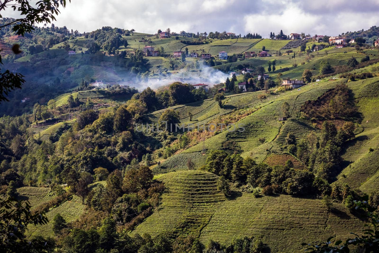 Aerial view of Karadeniz, Turkey. Endless nature with mountains and hills. Tea plantations and people harvesting crops in Rize, Turkey.