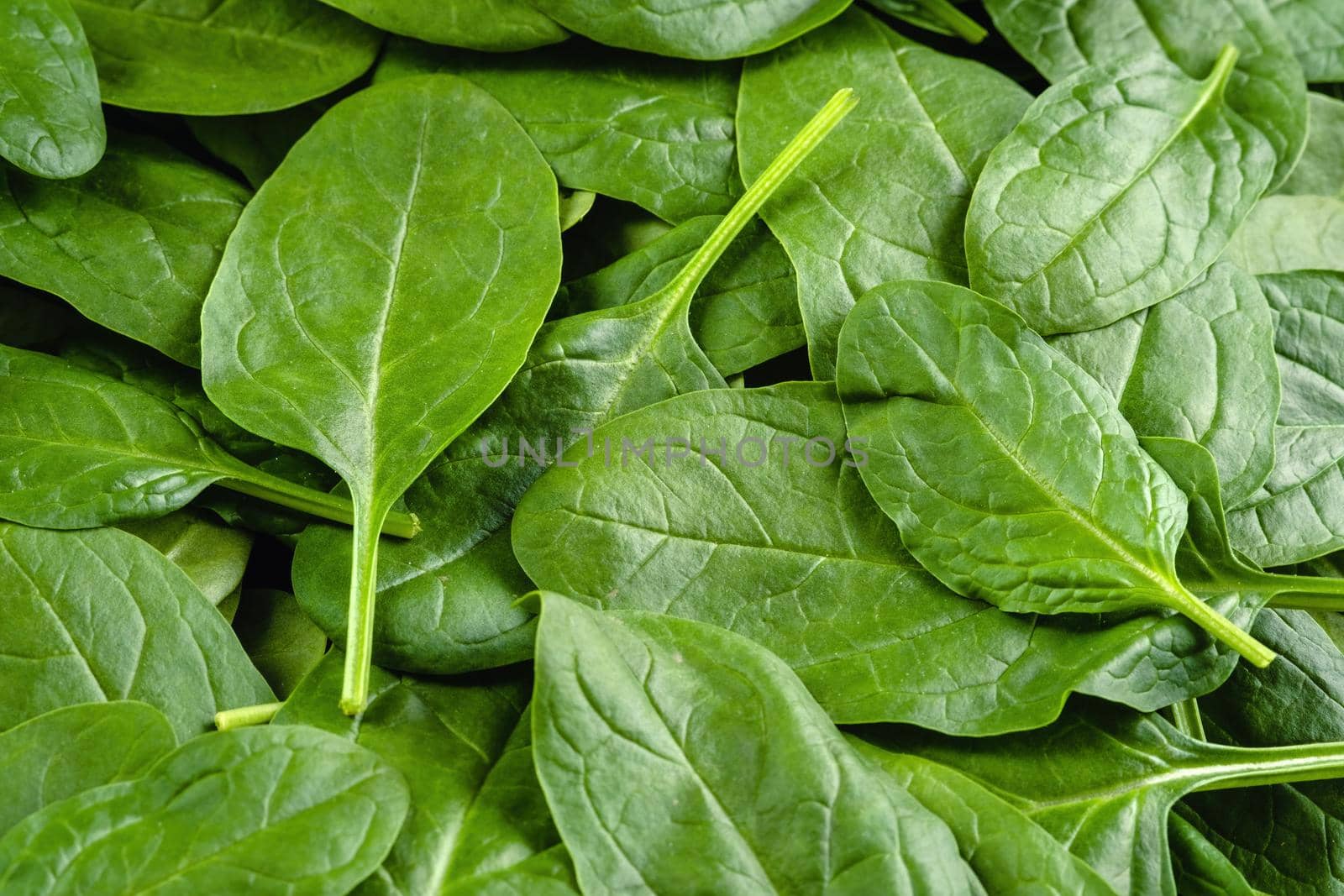 Fresh, green spinach leaves as background top view by Fischeron