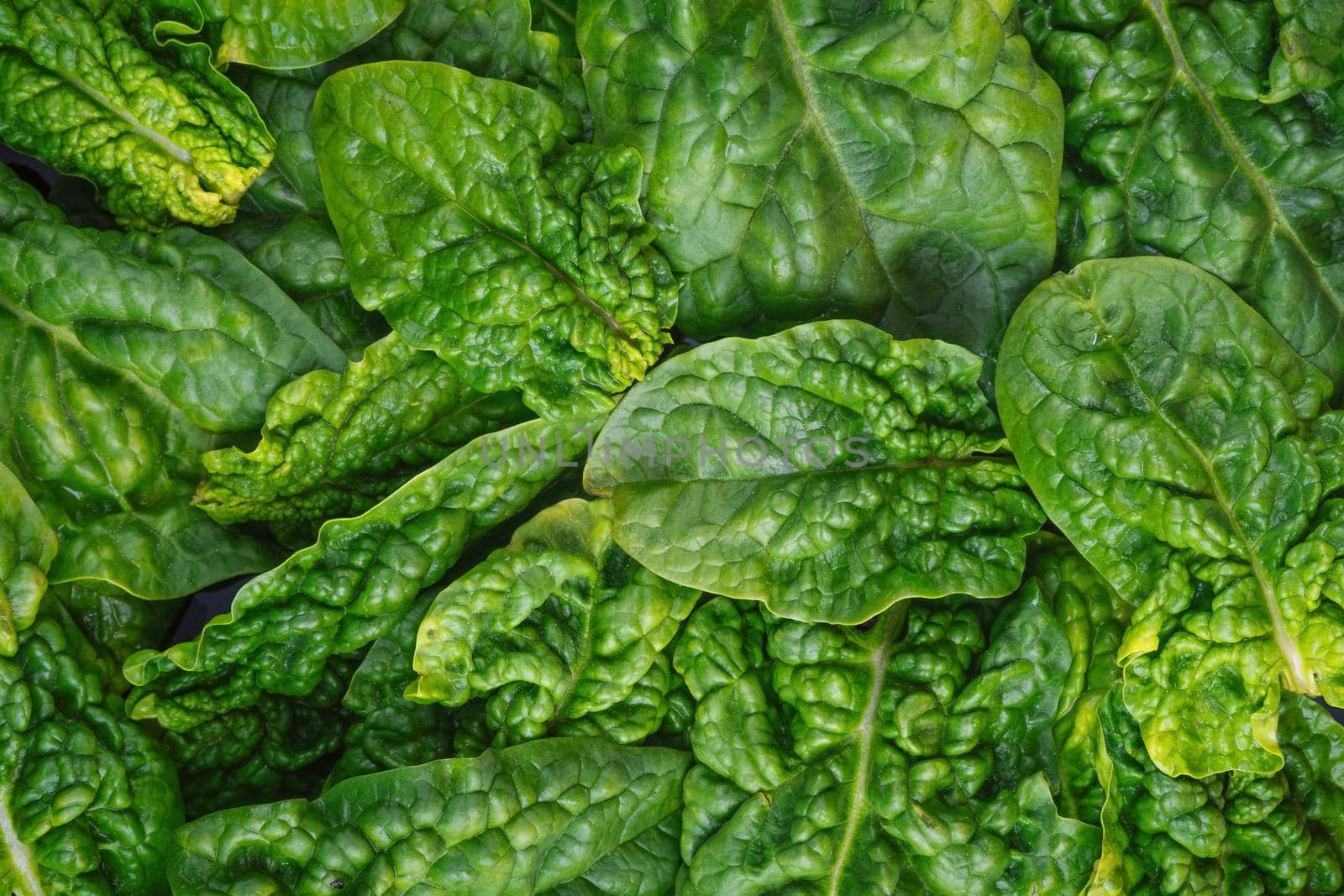 Top View On Fresh Organic Spinach Leaves Healthy Green Food And Vegan Background.