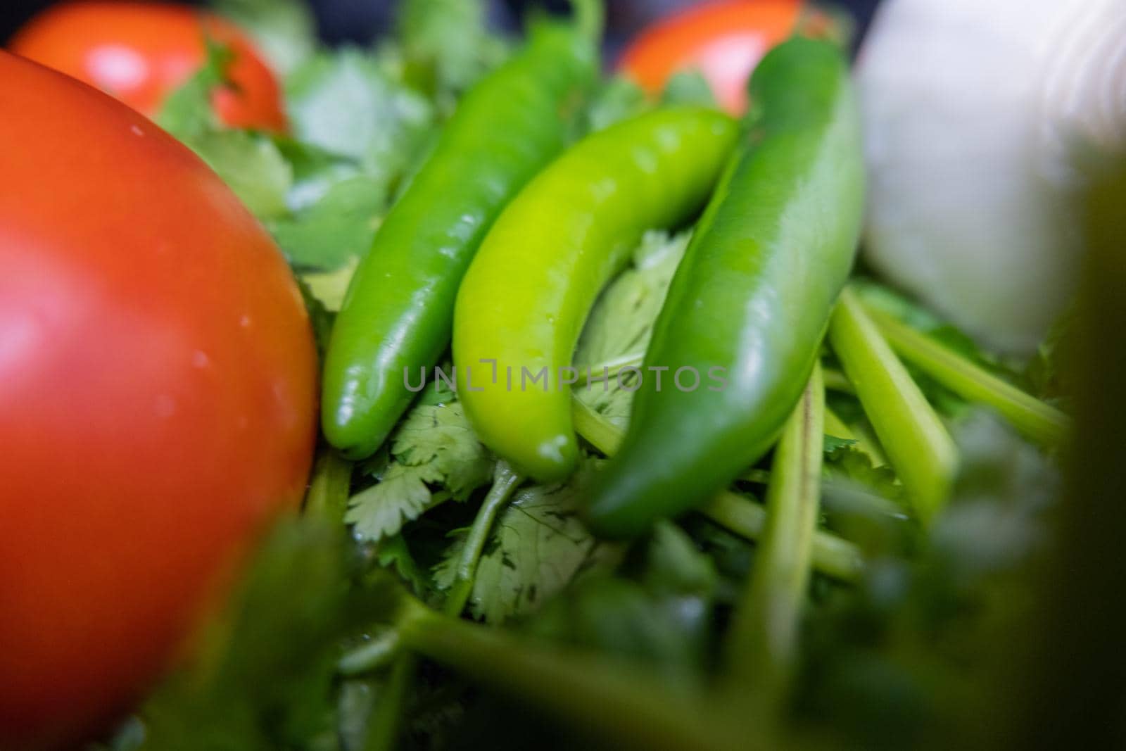 Close-up of three green chili peppers, onion, and tomato above coriander. Fresh and aromatic green vegetables up close. Healthy meal preparation