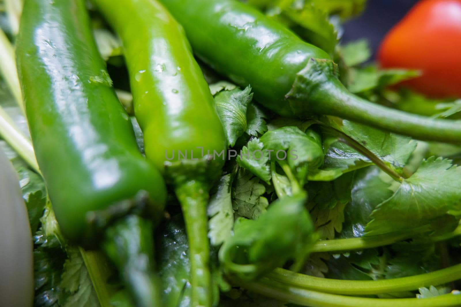 Close-up of three green chili peppers and a tomato above coriander. Fresh green and red vegetables on dark blue surface. Healthy meal preparation