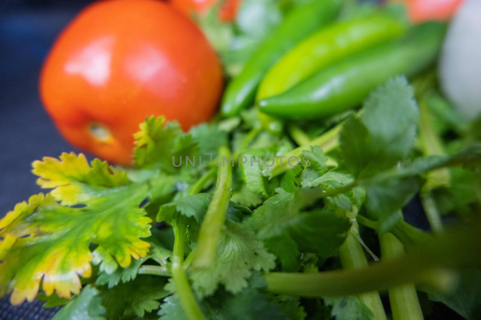 Close-up of three green chili peppers, onion, and tomato above coriander. Fresh and aromatic green vegetables up close. Healthy meal preparation