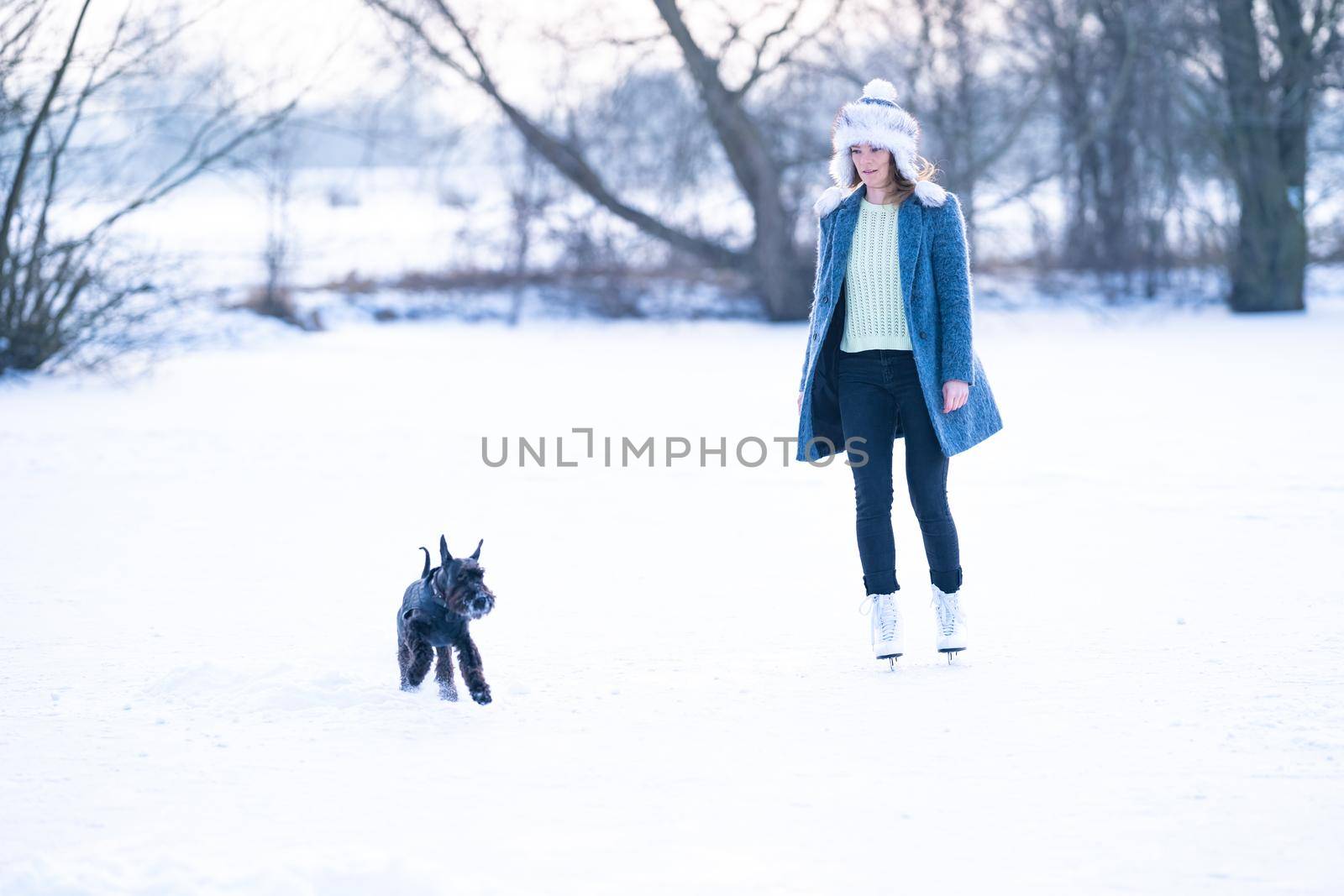 ice skating on the ice of a frozen lake young attractive woman with dog by Edophoto