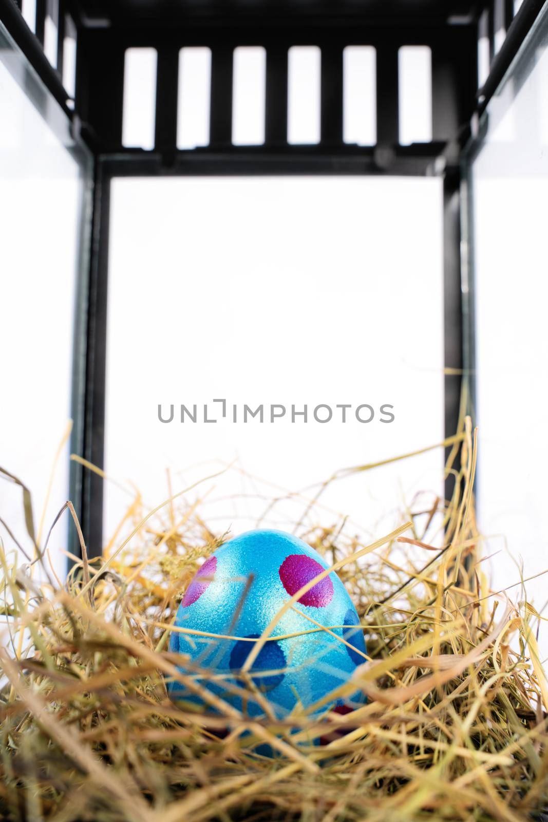 Close up of a beautiful colourful Easter egg in a nest within a decorative lantern, isolated on white background. Fun and colourful Easter celebration concept. Easter decoration concept.