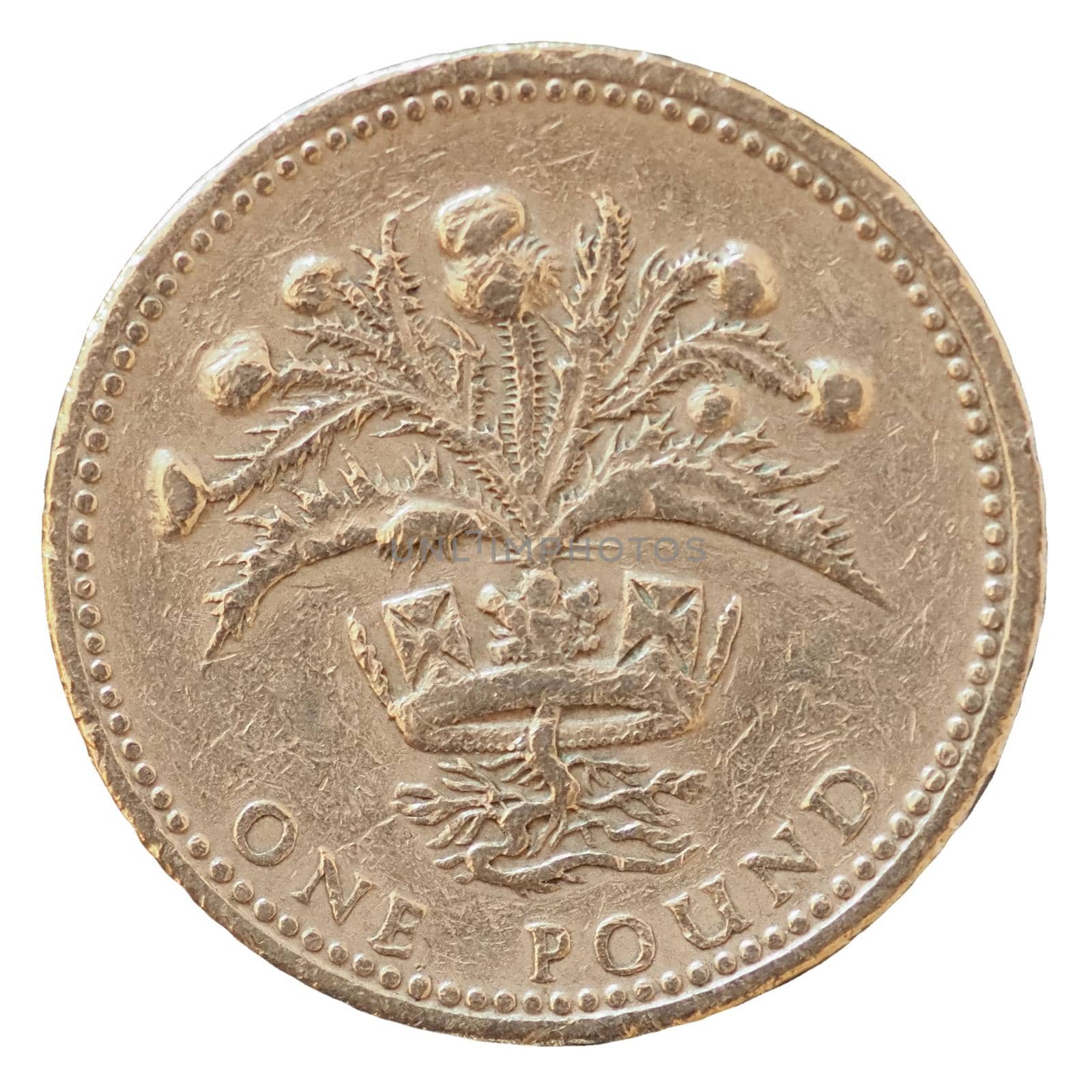 1 pound coin money (GBP), currency of United Kingdom