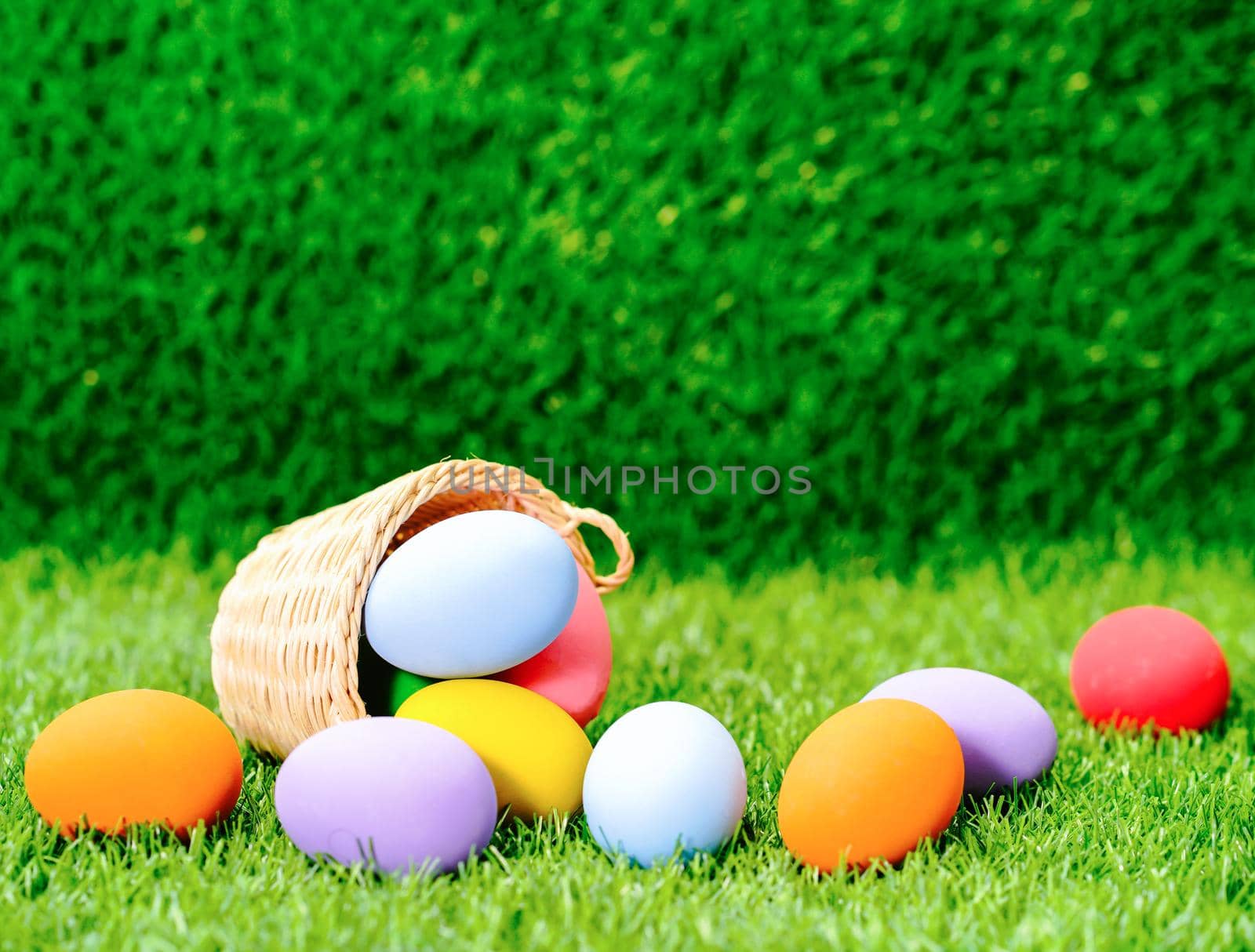 Colorful easter eggs in the basket on green grass background with copy space