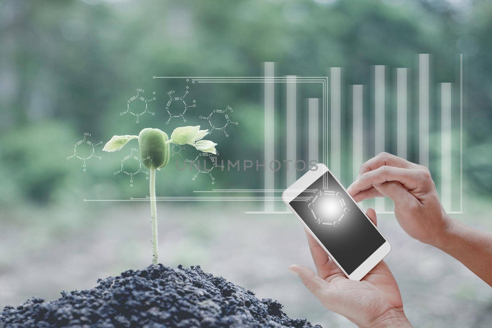 Innovation technology for smart biology, Bio, system, Agriculture management tree plants seeding, Young man hand holding smartphone with smart technology concept.  by yodsawai