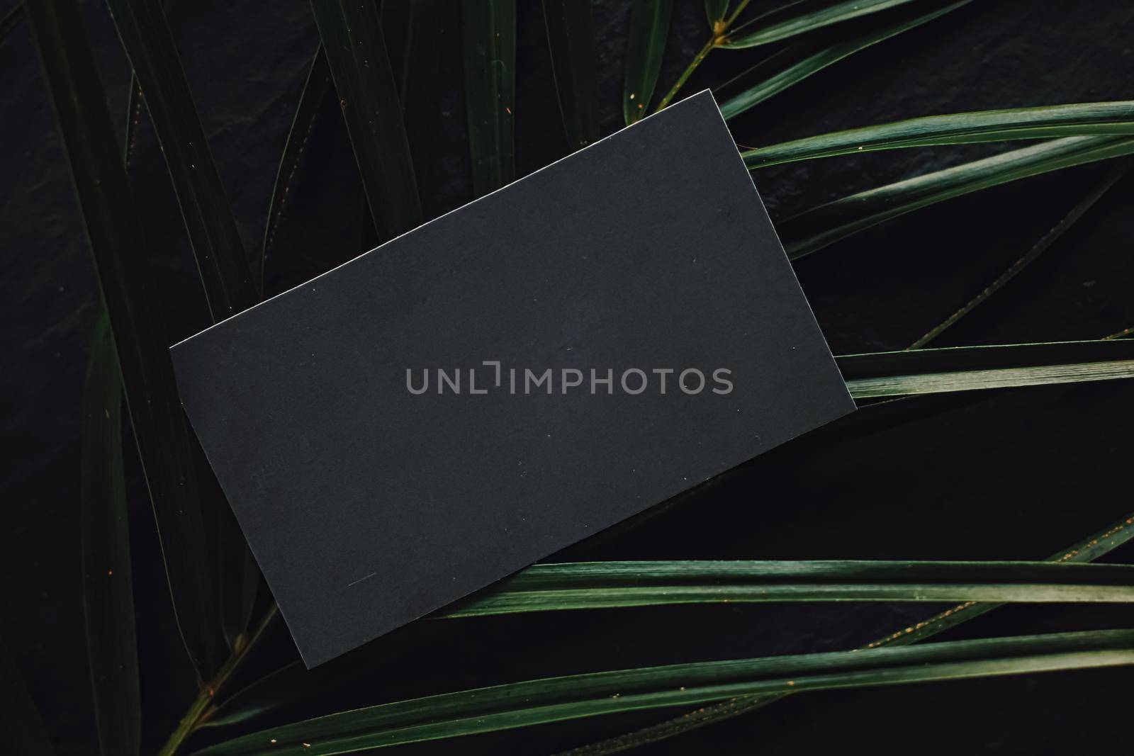 Black business card flatlay on dark stone background and green exotic leaf, luxury branding flat lay and brand identity design for mockup by Anneleven