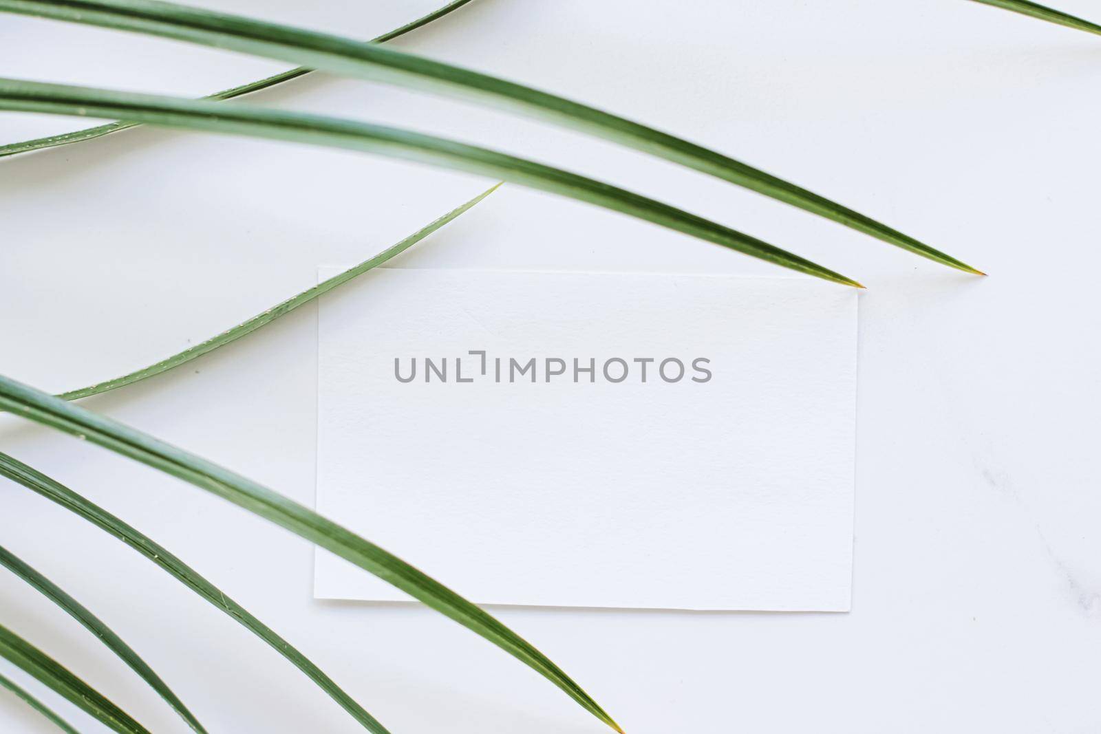 White card flatlay and green exotic leaf, luxury branding flat lay and brand identity design for mockups