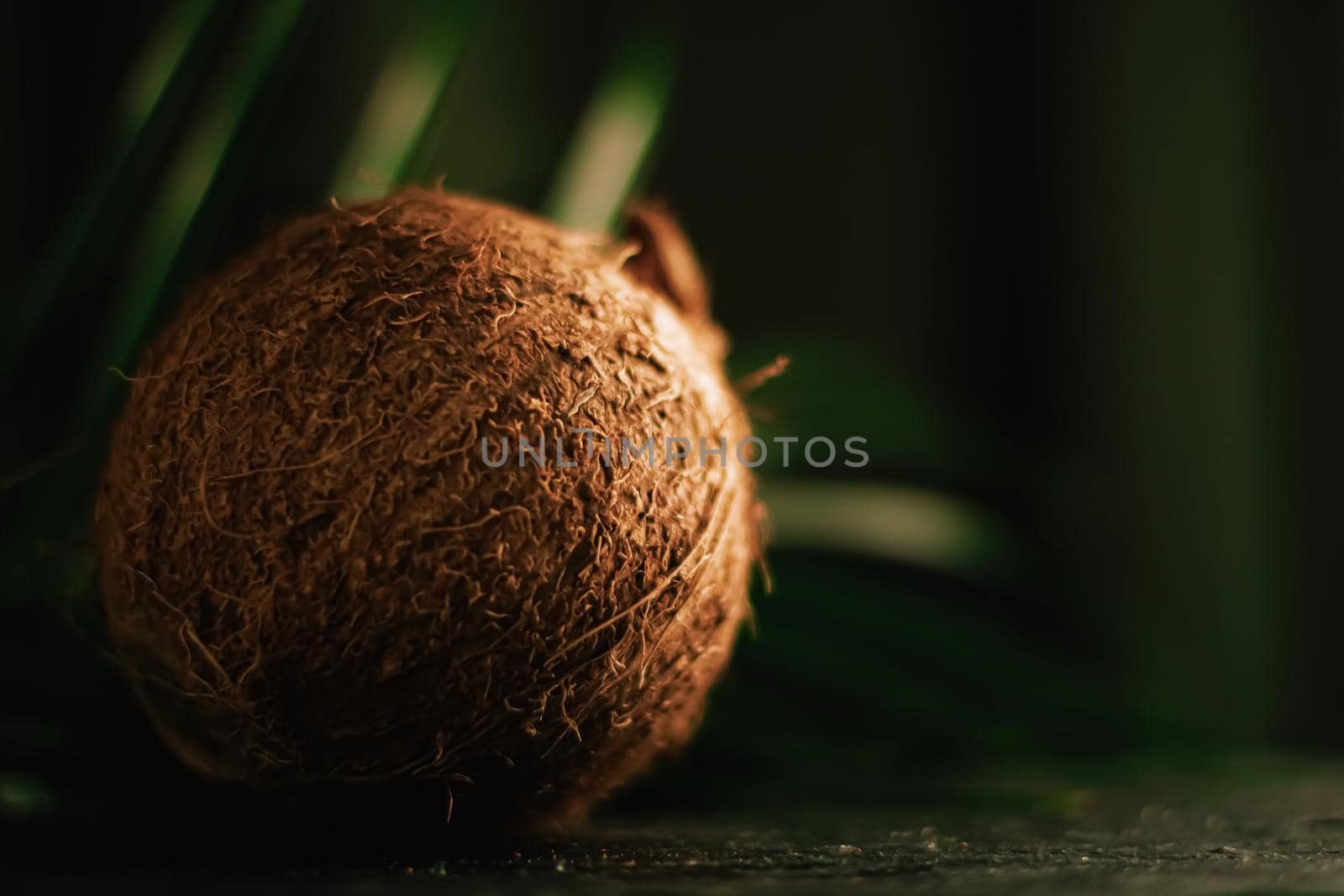 Coconut and green exotic leaf on dark background, food and nature closeup