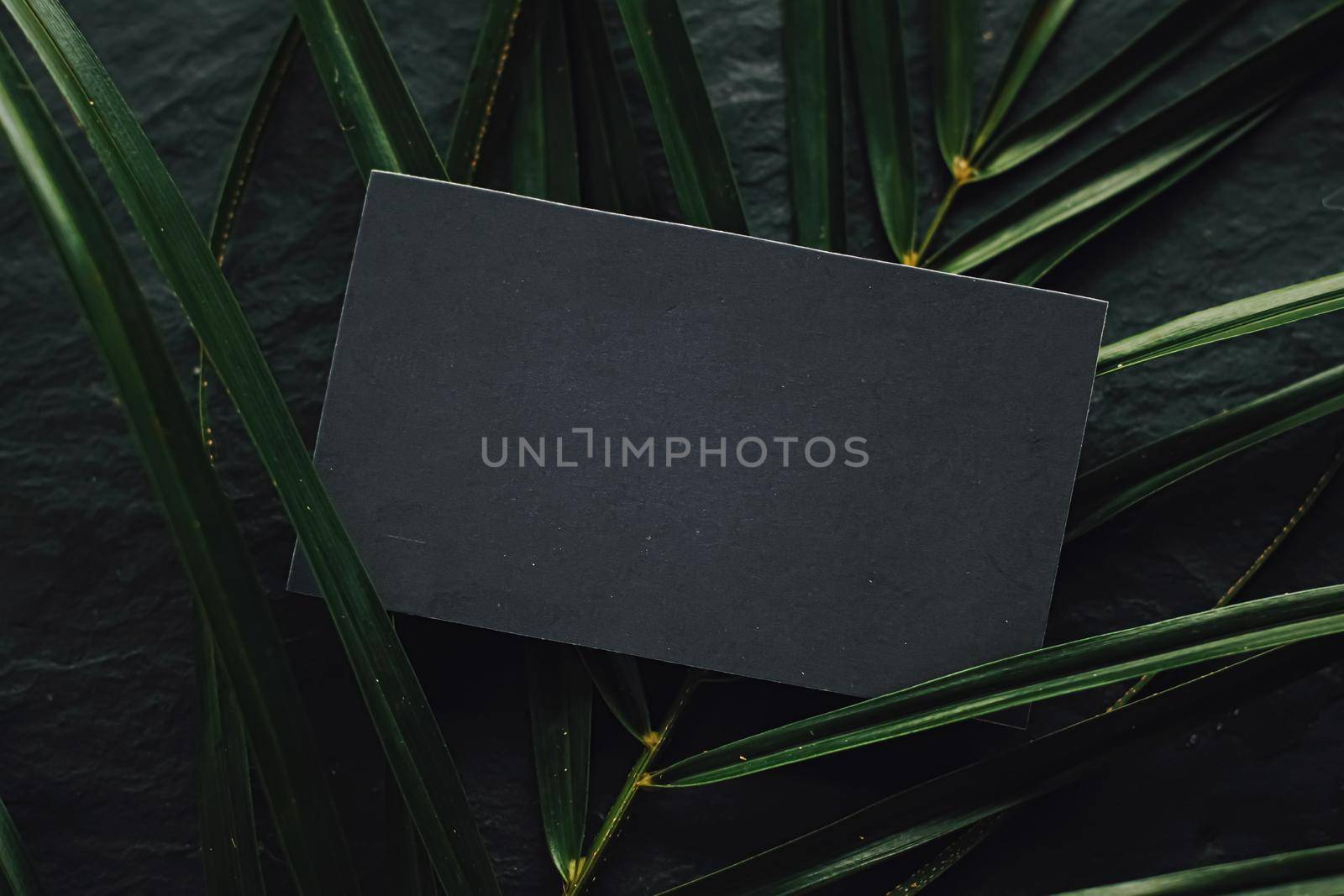 Black business card flatlay on dark stone background and green exotic leaf, luxury branding flat lay and brand identity design for mockups