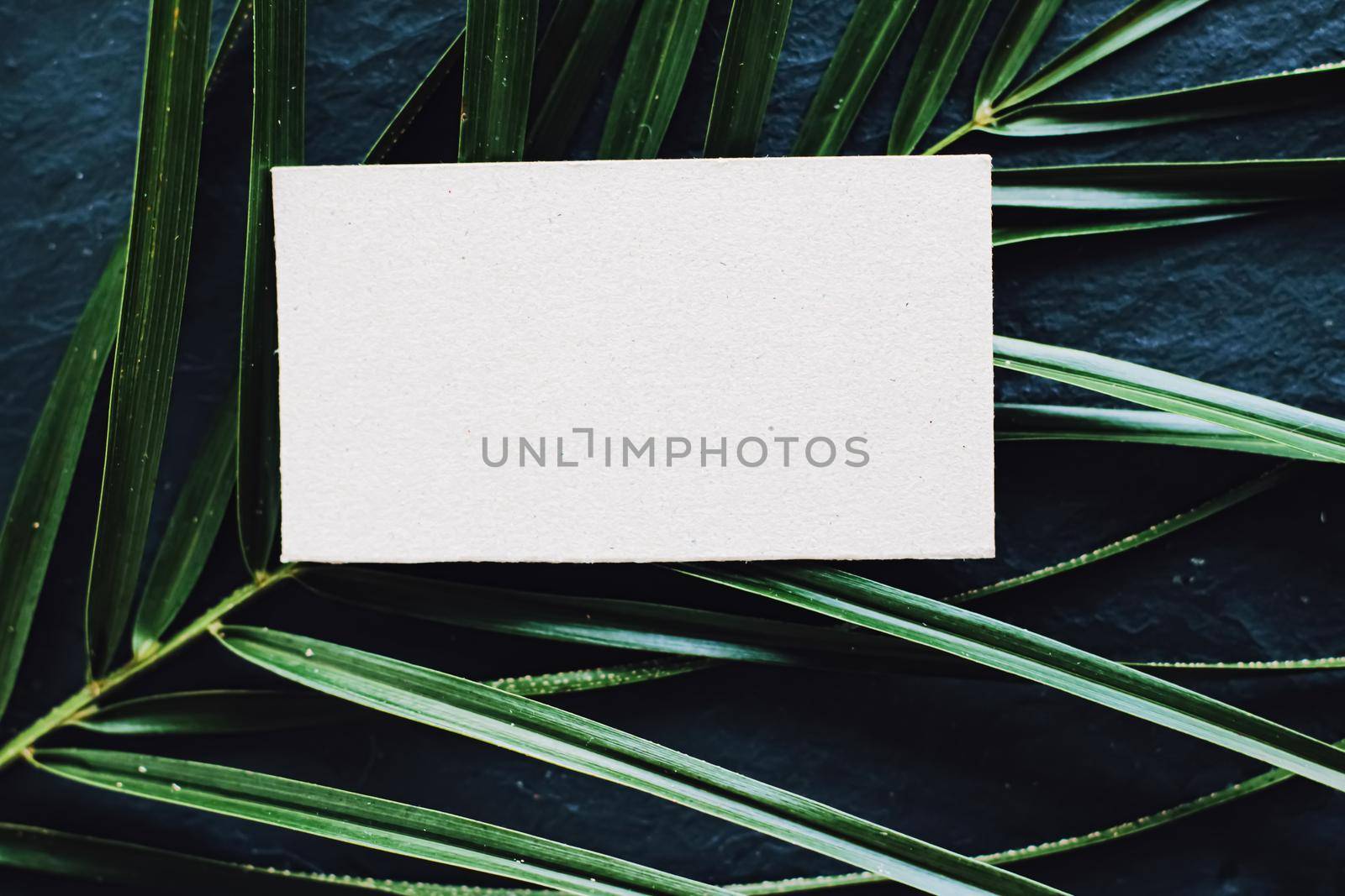 White business card flatlay on dark stone background and green exotic leaf, luxury branding flat lay and brand identity design for mockup by Anneleven