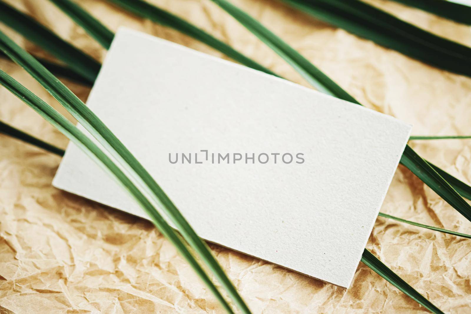 White business card flatlay on brown parchment paper background and green exotic leaf, luxury branding flat lay and brand identity design for mockups