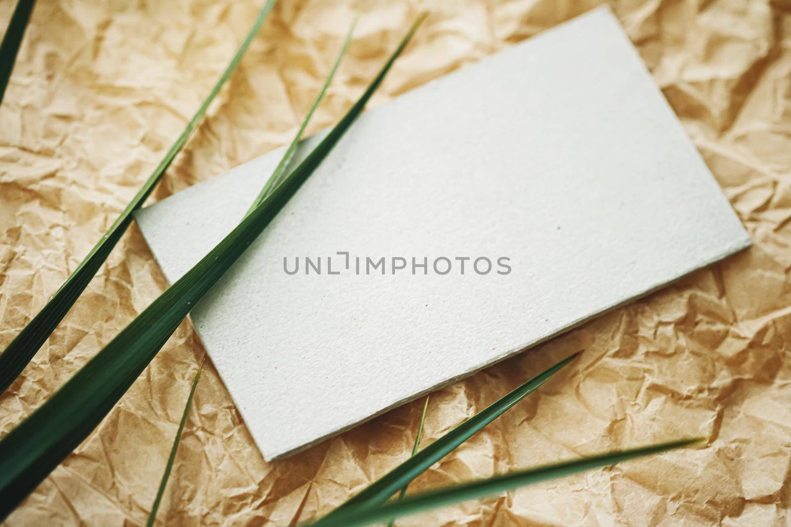 White business card flatlay on brown parchment paper background and green exotic leaf, luxury branding flat lay and brand identity design for mockups