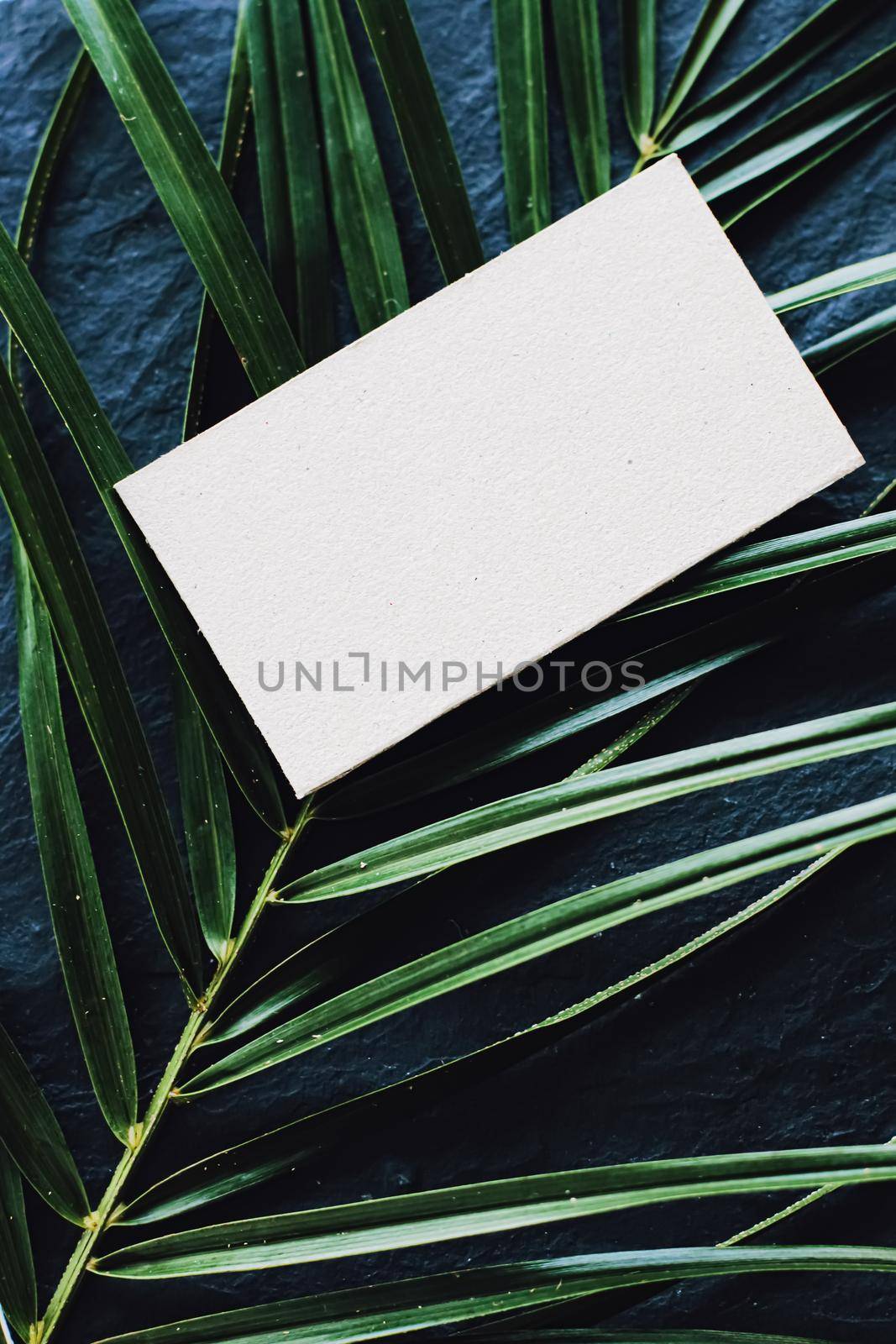 White business card flatlay on dark stone background and green exotic leaf, luxury branding flat lay and brand identity design for mockups
